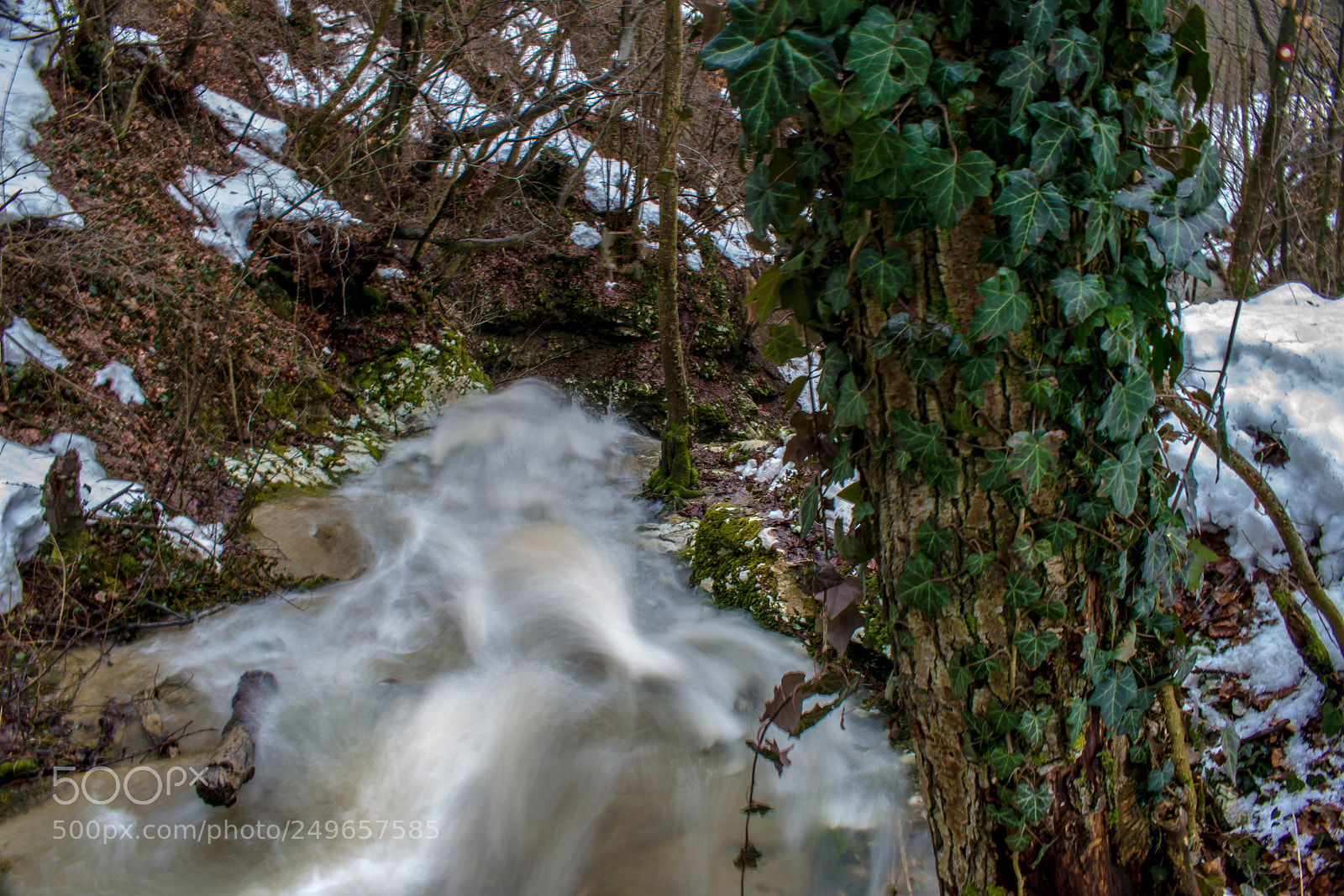 Nikon D5300 sample photo. Wild water photography