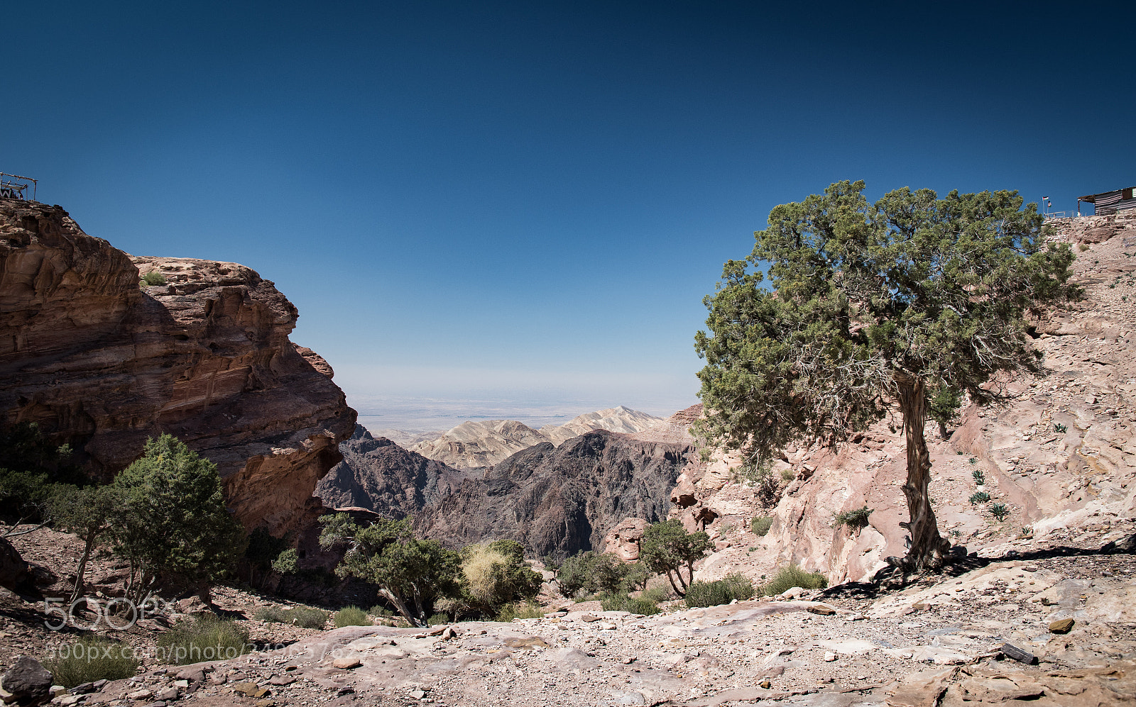 Nikon D500 sample photo. Petra view photography