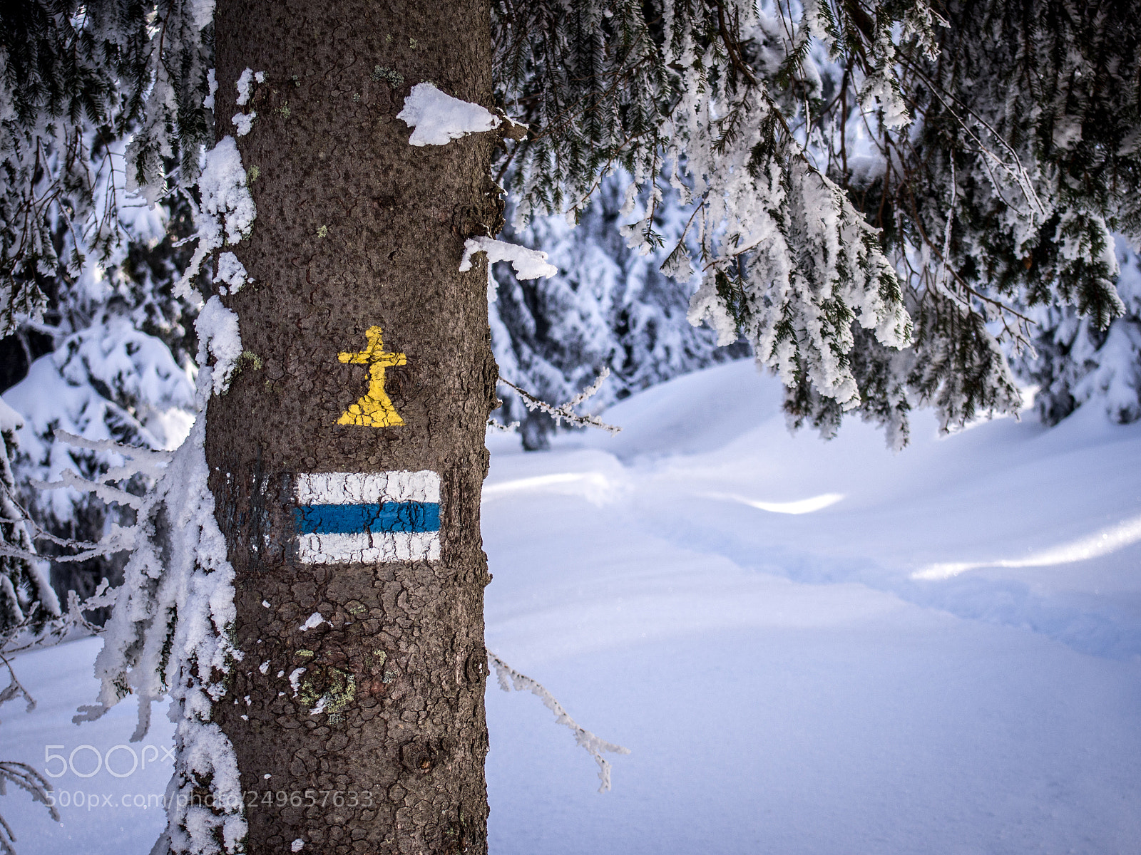 Olympus PEN E-PL5 sample photo. On the trail photography
