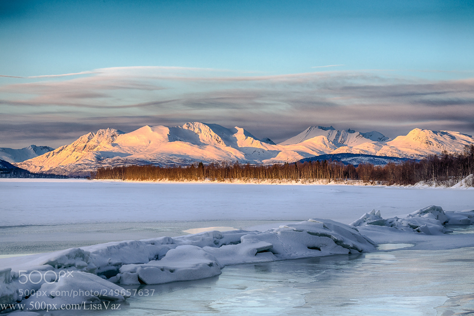 Sony a7R sample photo. Frozen photography