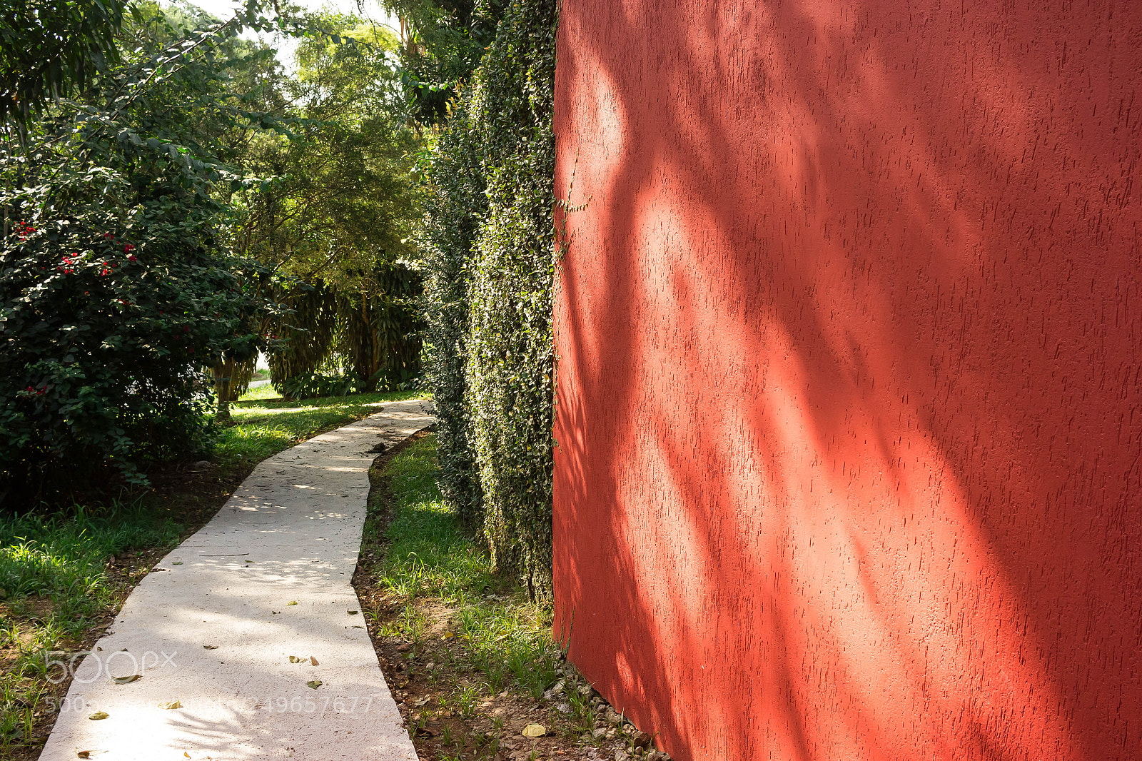 Canon EOS 550D (EOS Rebel T2i / EOS Kiss X4) sample photo. Red wall photography