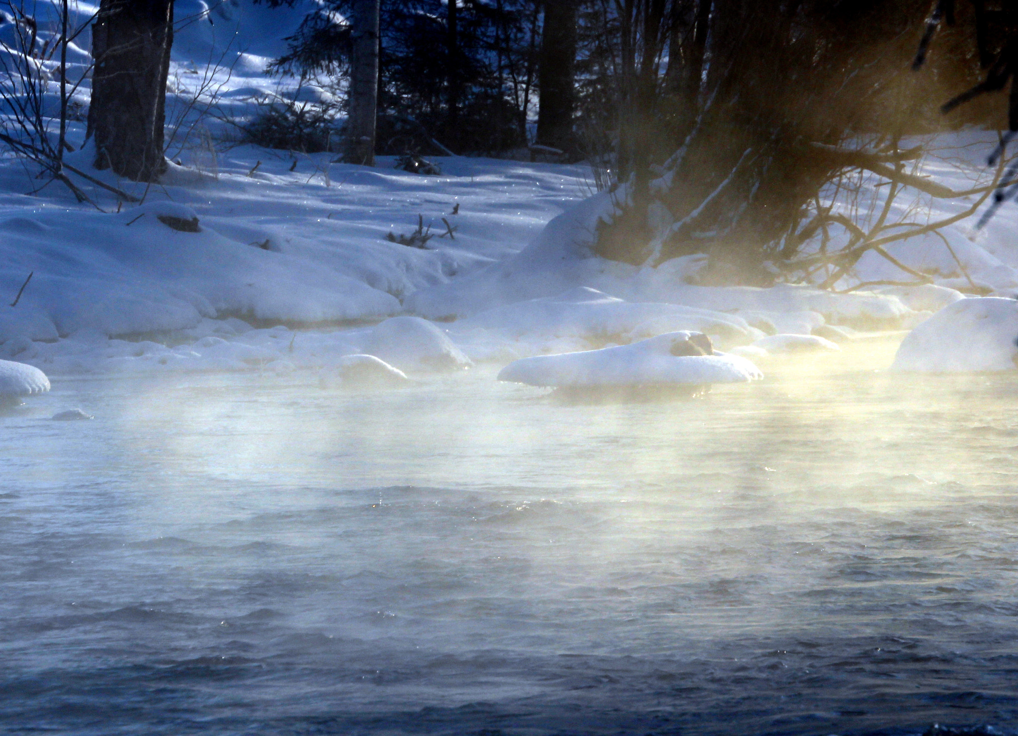 Canon EOS 700D (EOS Rebel T5i / EOS Kiss X7i) sample photo. Cold, sunny and misty winter morning. photography