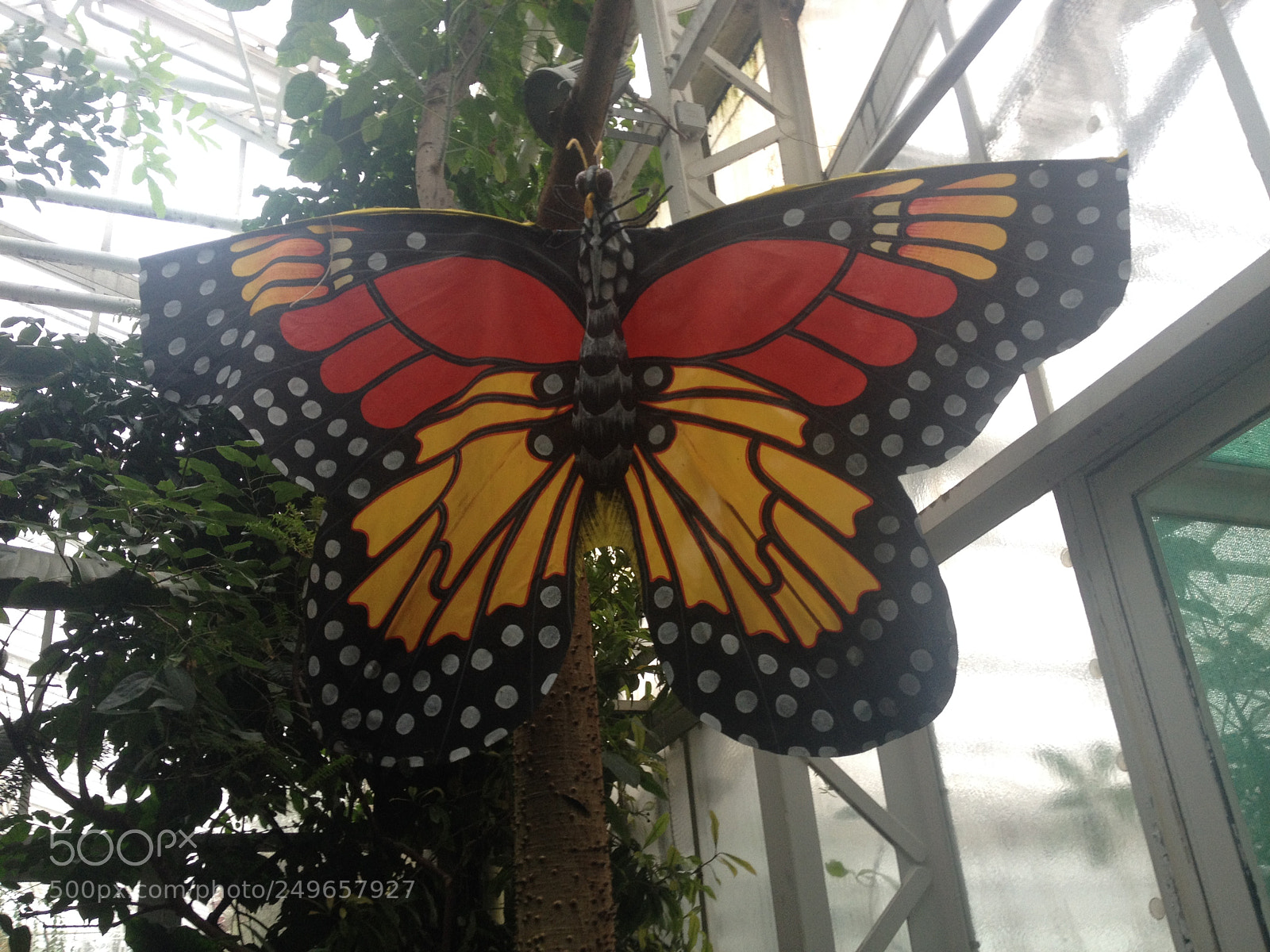 Apple iPhone 4S sample photo. Untitled photography