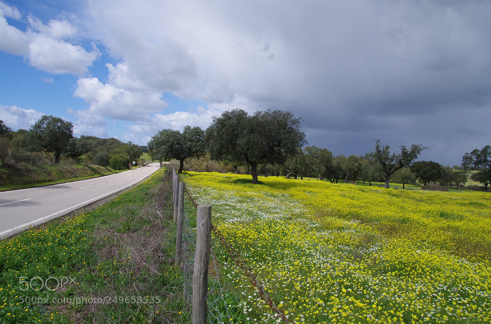 Pentax K-5 sample photo. Untitled photography