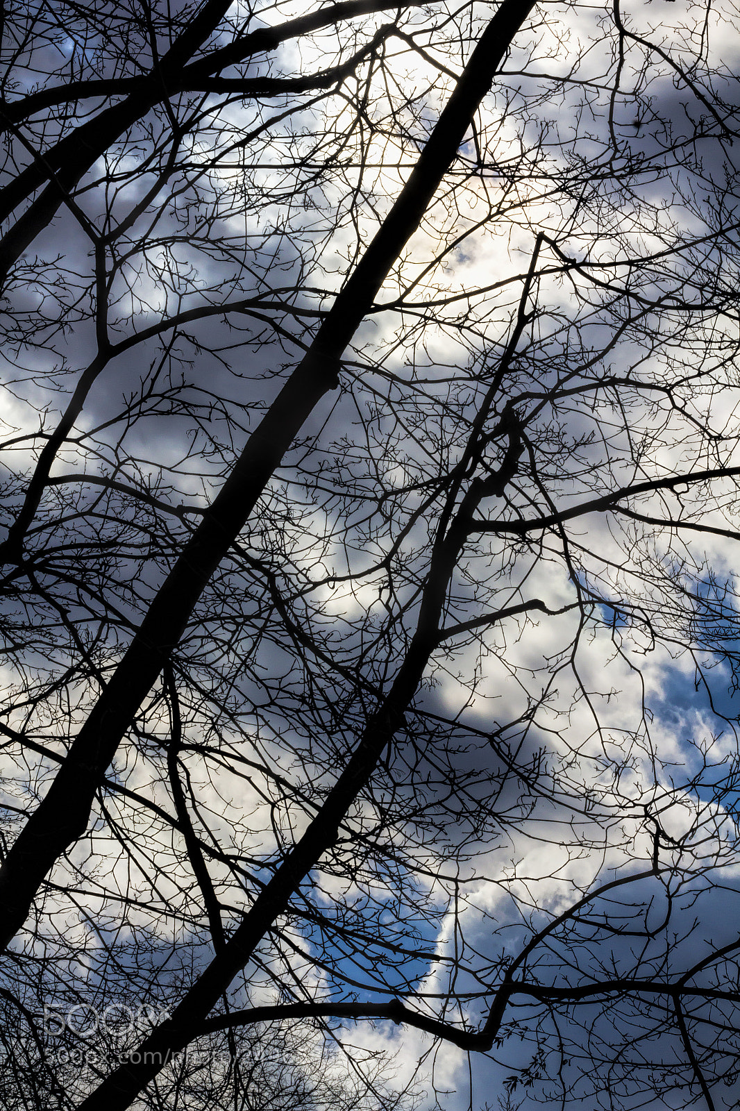 Canon EOS 60D sample photo. Clouds trees and sky photography