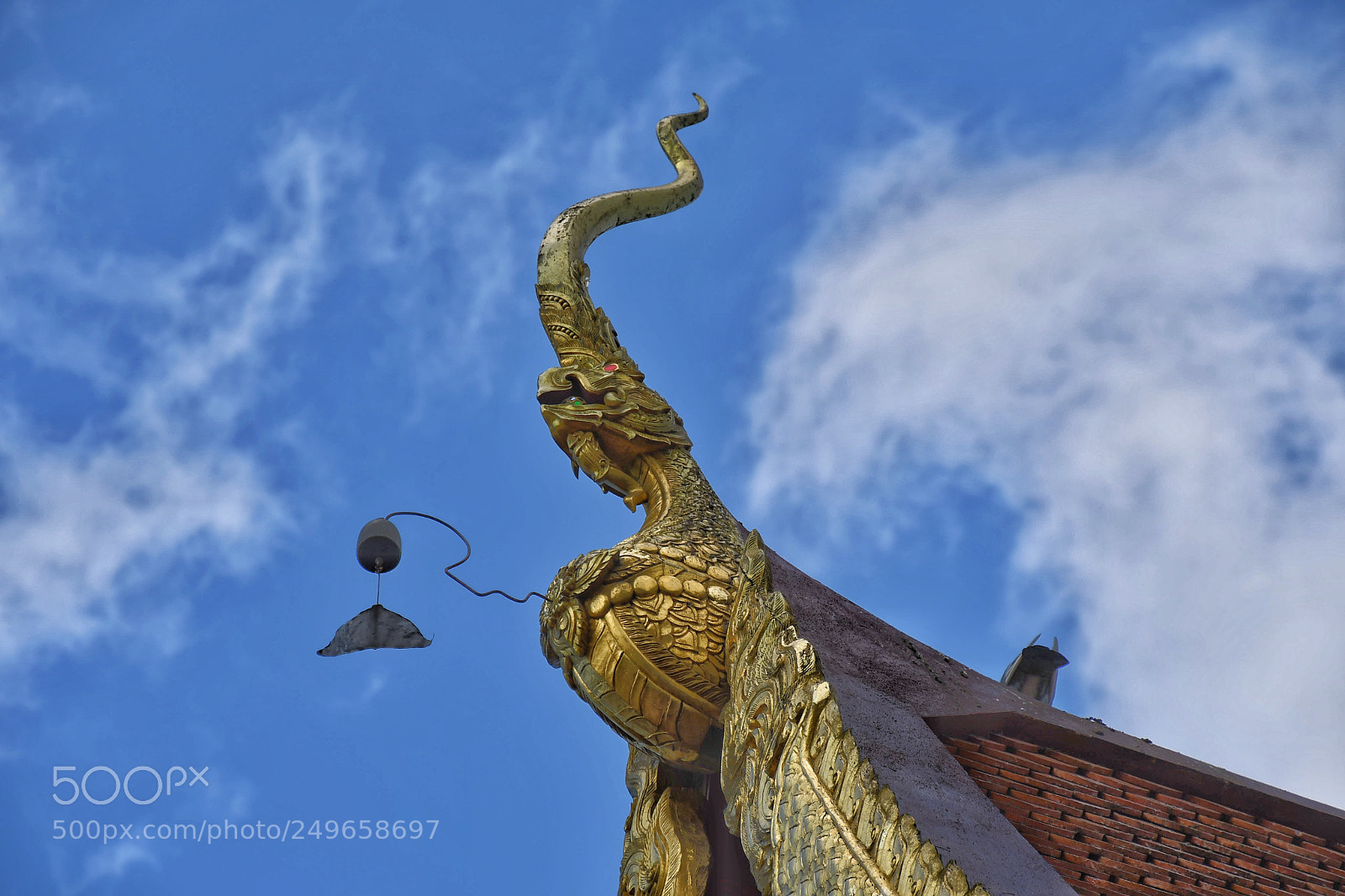Nikon D500 sample photo. Dragon head spreading to photography