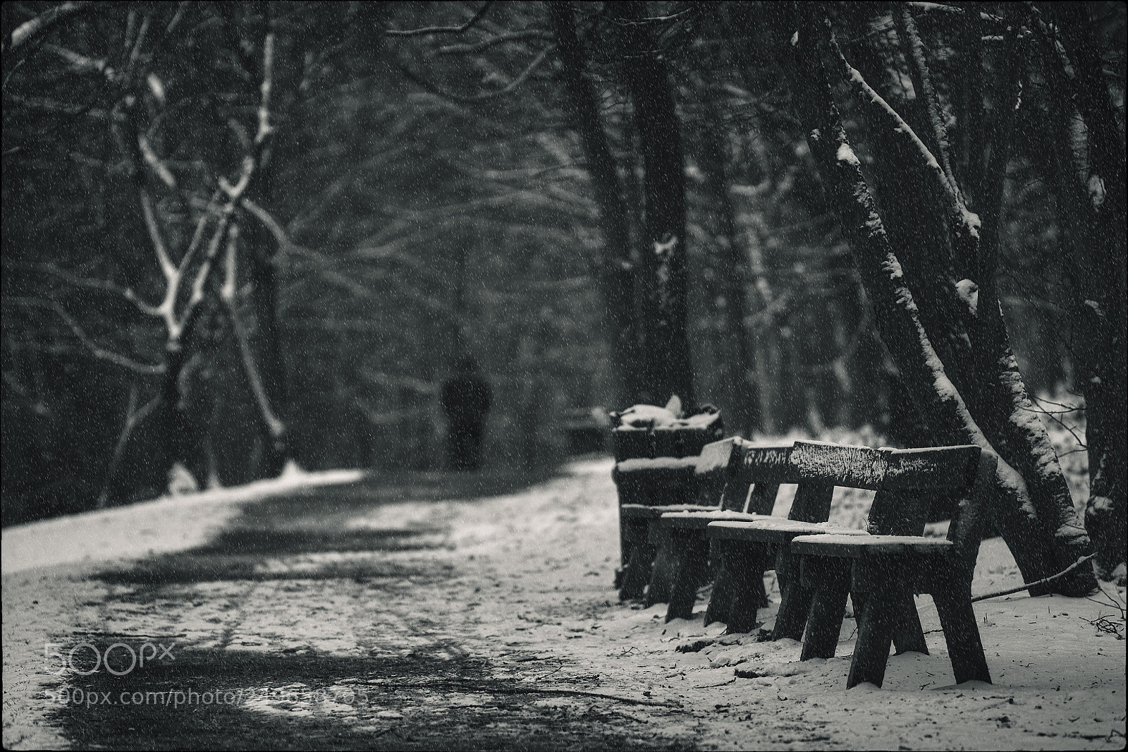Fujifilm X-T1 sample photo. Leaving photography