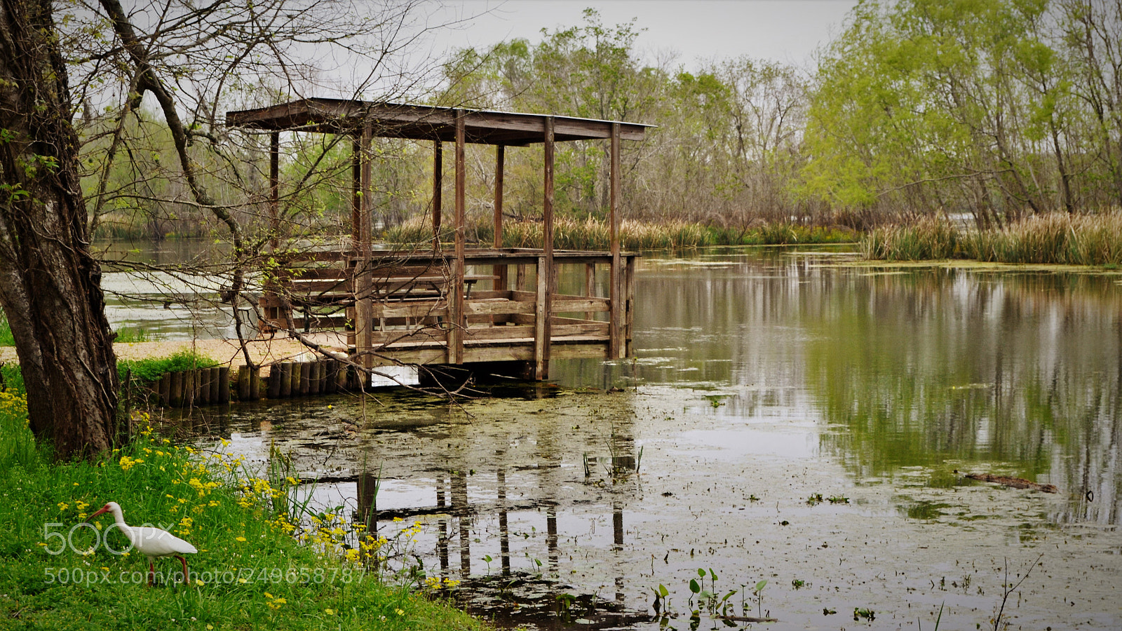 Nikon D3100 sample photo. A warm place to photography