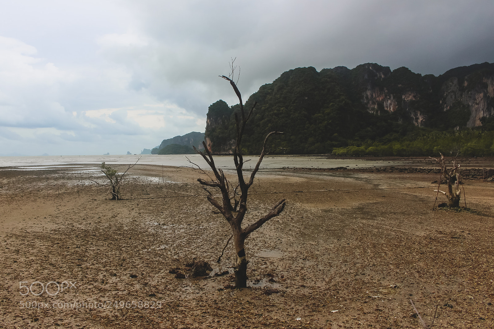 Canon EOS 100D (EOS Rebel SL1 / EOS Kiss X7) sample photo. Tropical beach on a photography