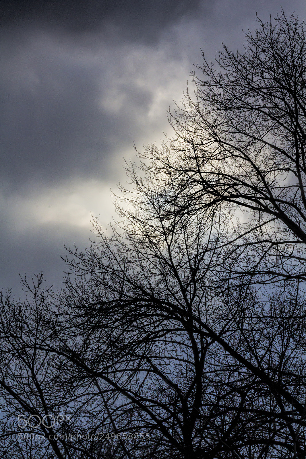 Canon EOS 60D sample photo. Storm clouds and trees photography