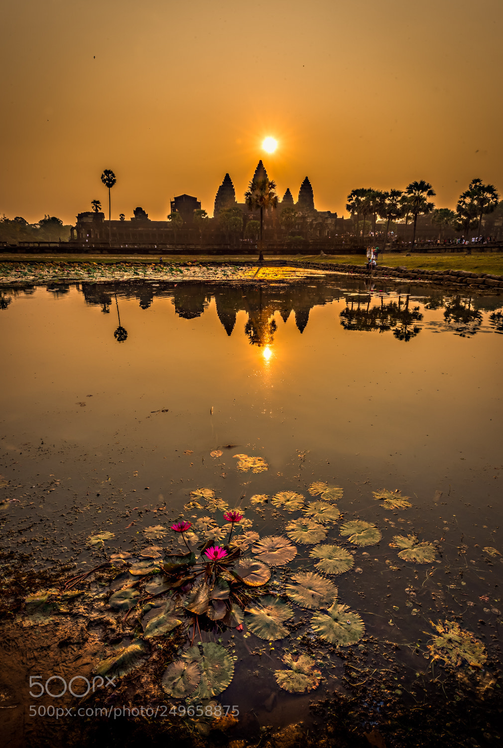 Nikon D810 sample photo. Sunrise over angkor wat photography
