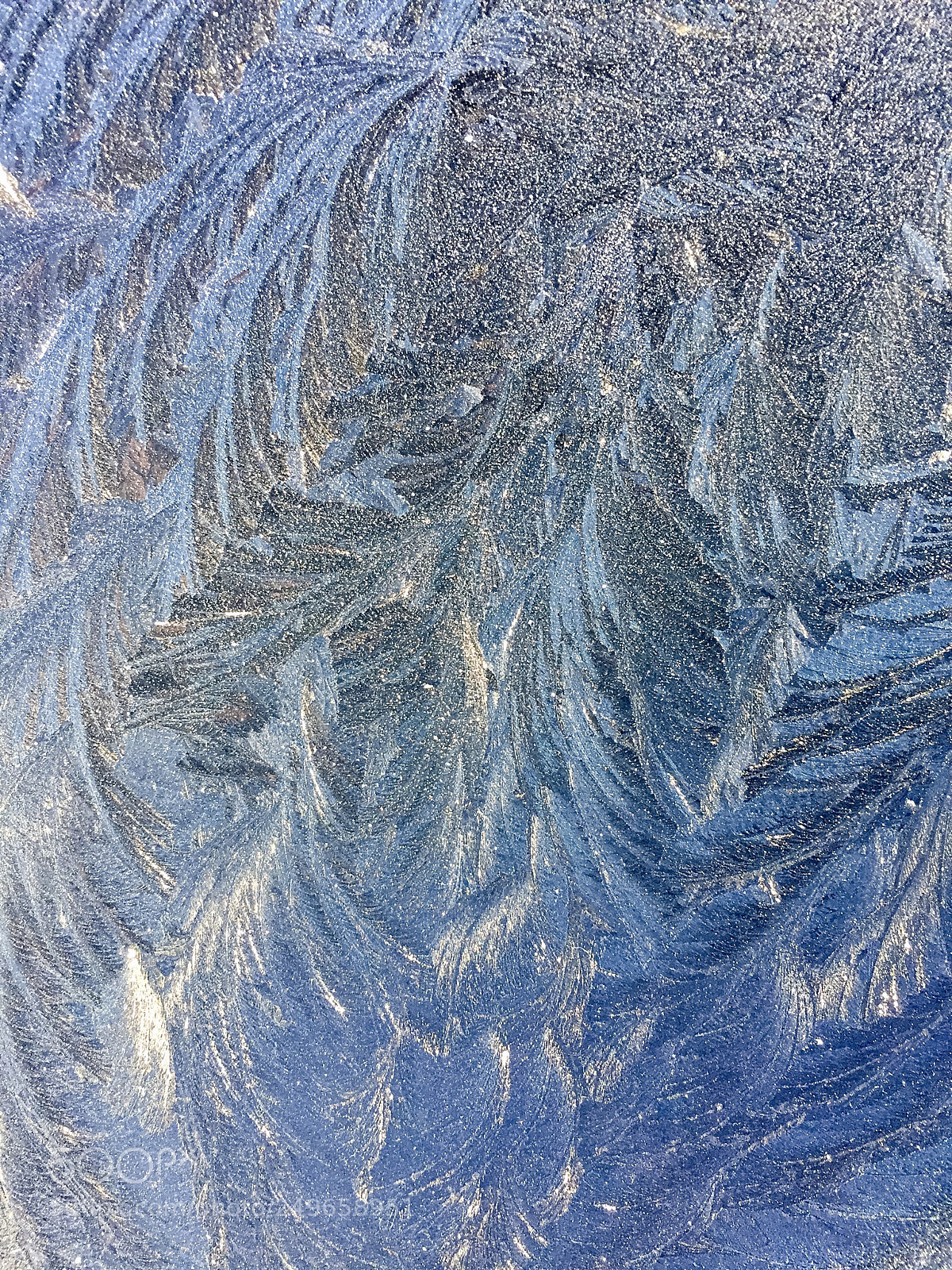 Apple iPhone 6 sample photo. Ice i photography
