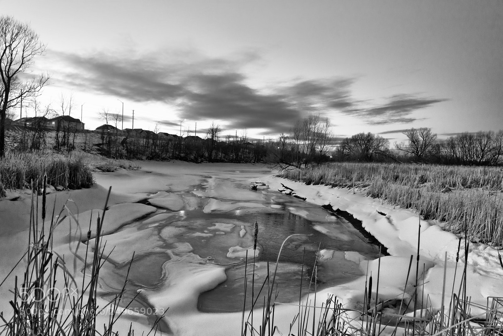 Nikon D610 sample photo. A stream of spring photography