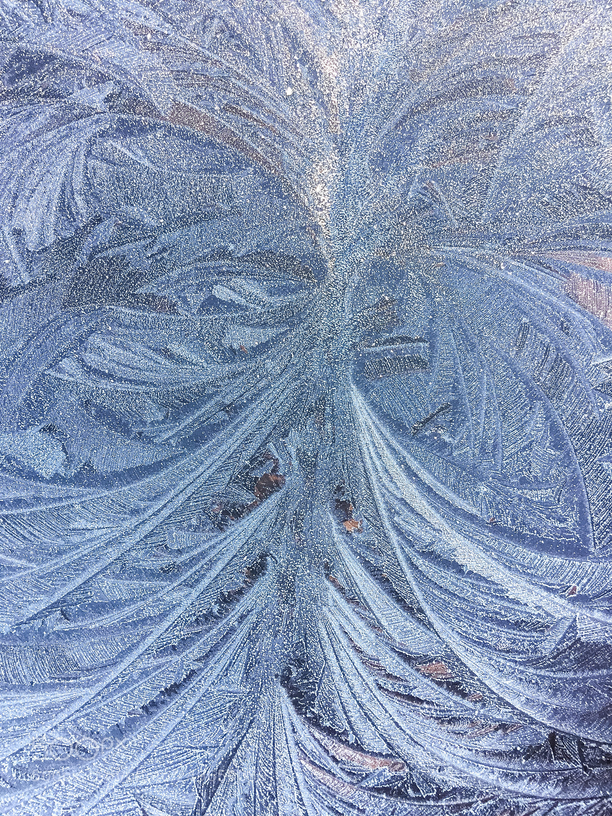 Apple iPhone 6 sample photo. Ice ii photography