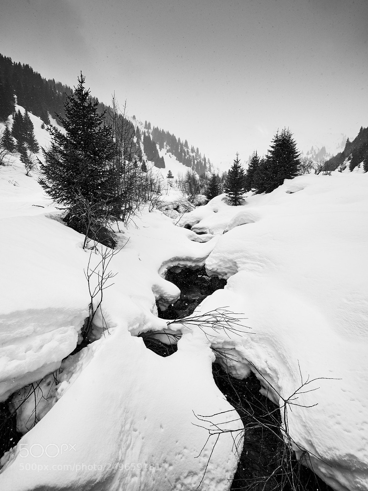 Olympus OM-D E-M10 sample photo. Winter wonderland photography
