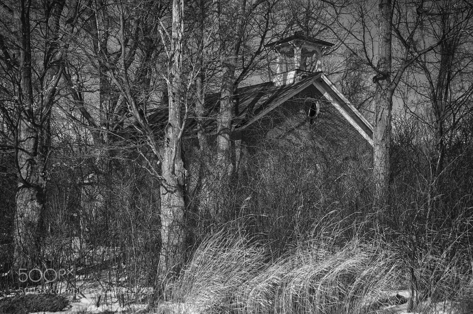 Nikon D40 sample photo. Abandoned in the forest photography