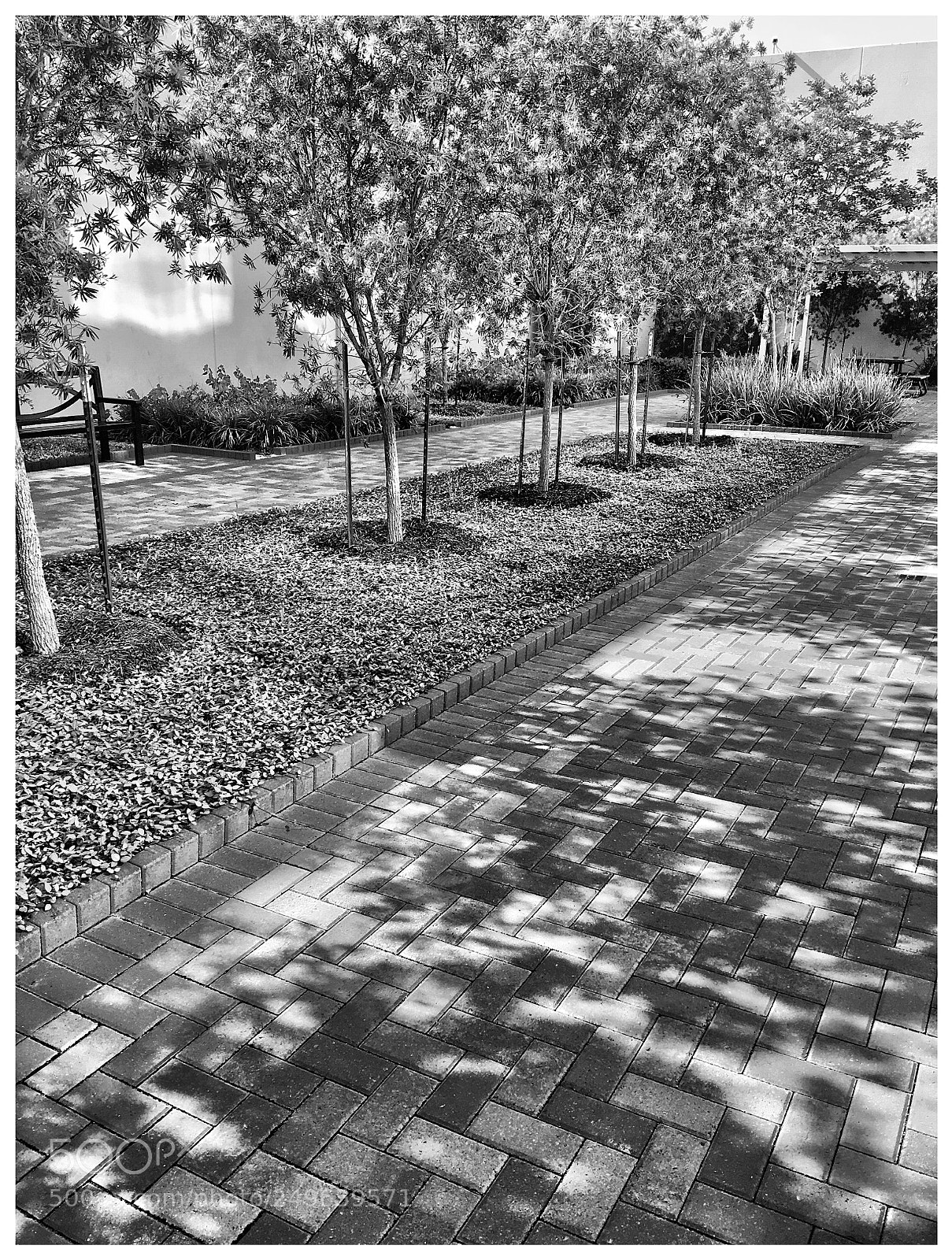 Apple iPhone 6s Plus sample photo. Break time photography