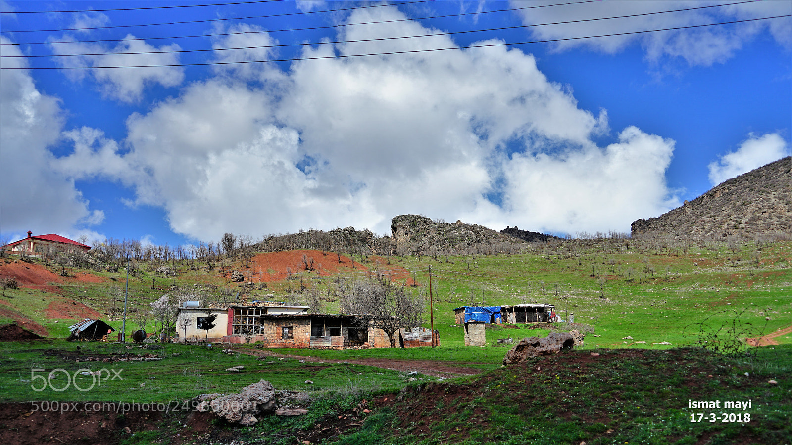 Sony a7 II sample photo. 19.jpg photography