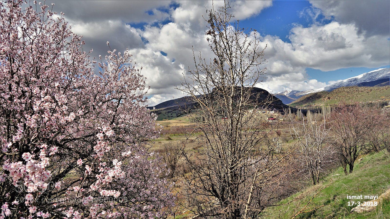 Sony a7 II sample photo. 31.jpg photography