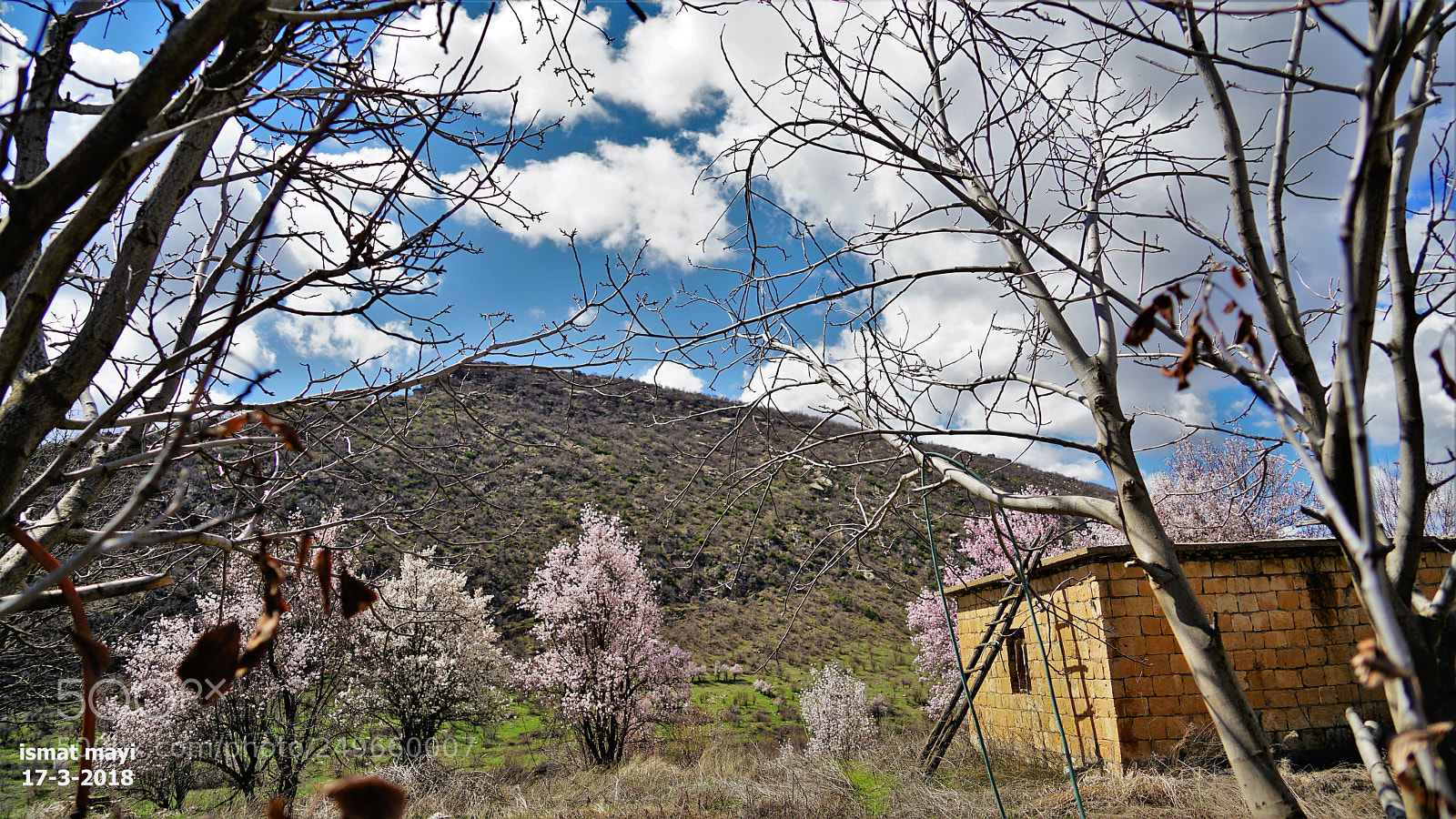 Sony a7 II sample photo. 35.jpg photography