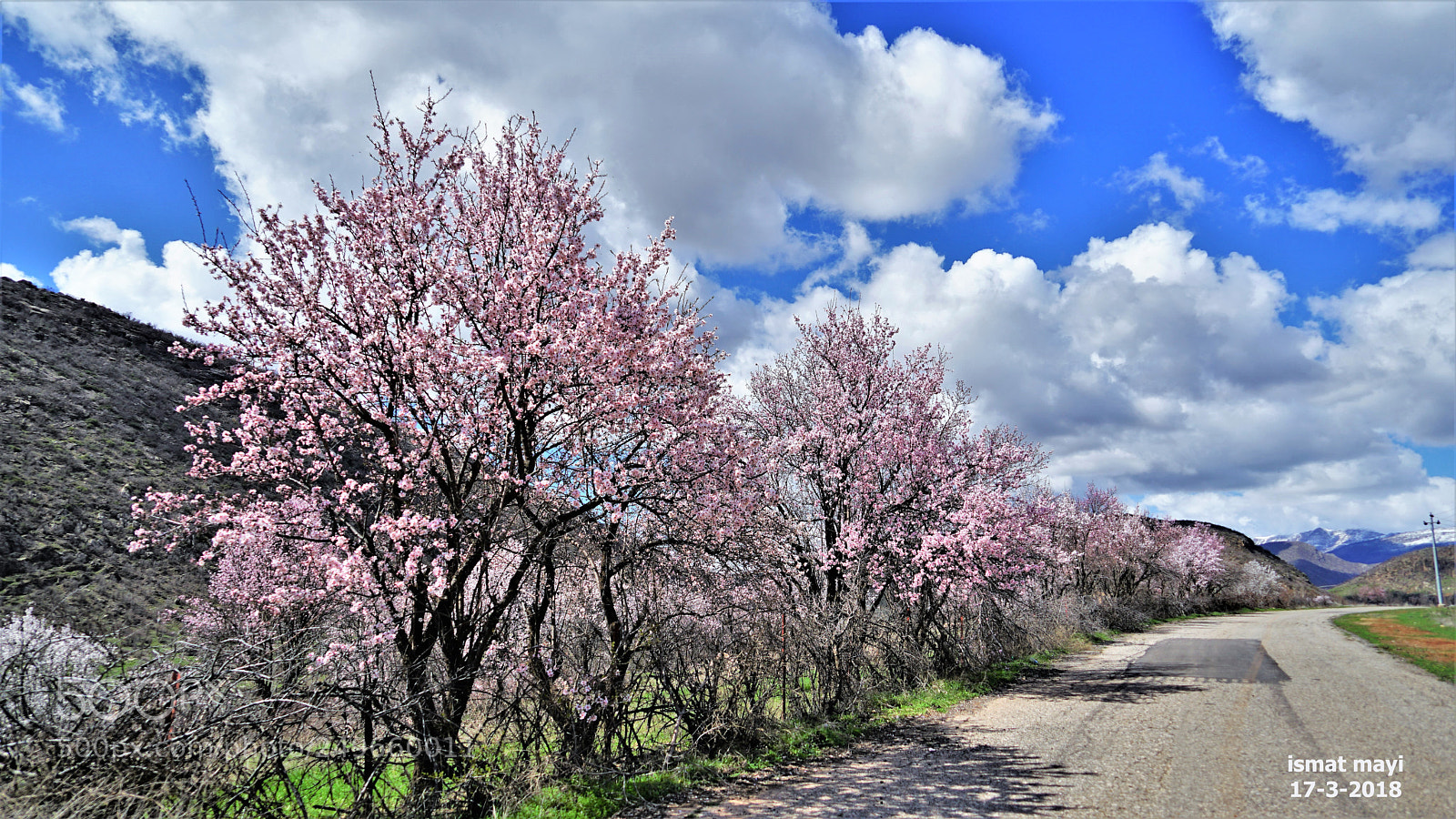 Sony a7 II sample photo. 41.jpg photography