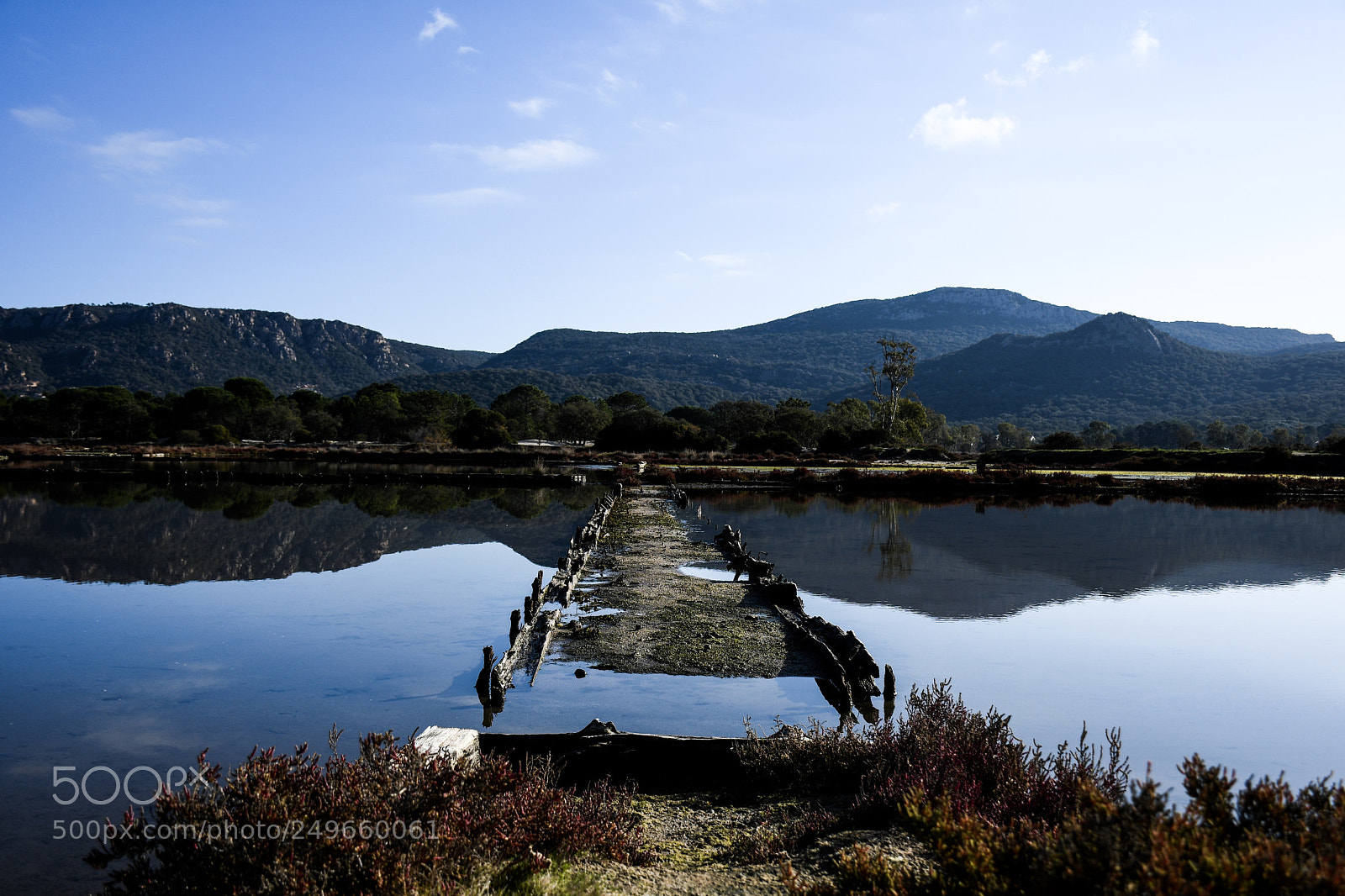 Nikon D7500 sample photo. Ricochets || nikon d7500 30 mm photography