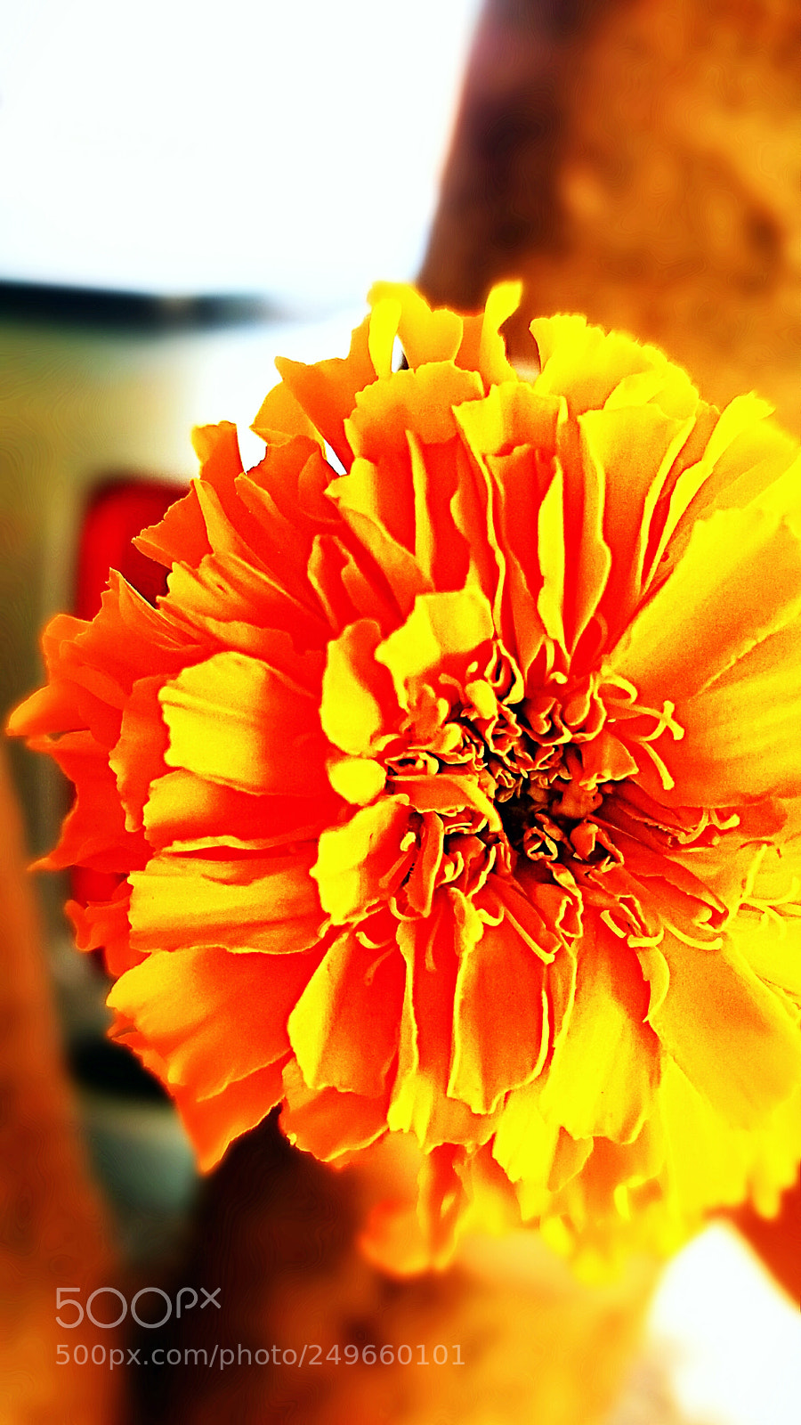 Samsung Galaxy J5 sample photo. Untitled photography