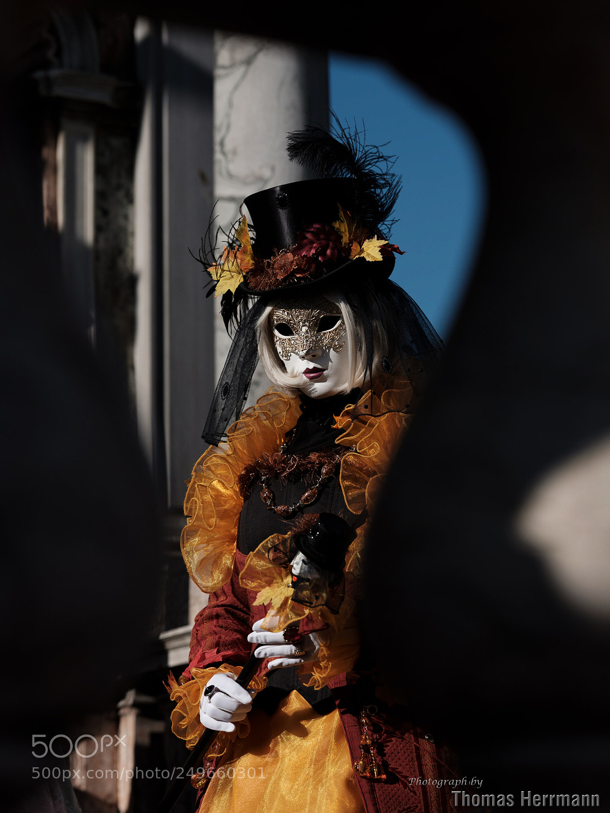 Fujifilm GFX 50S sample photo. Venice carnival xii photography