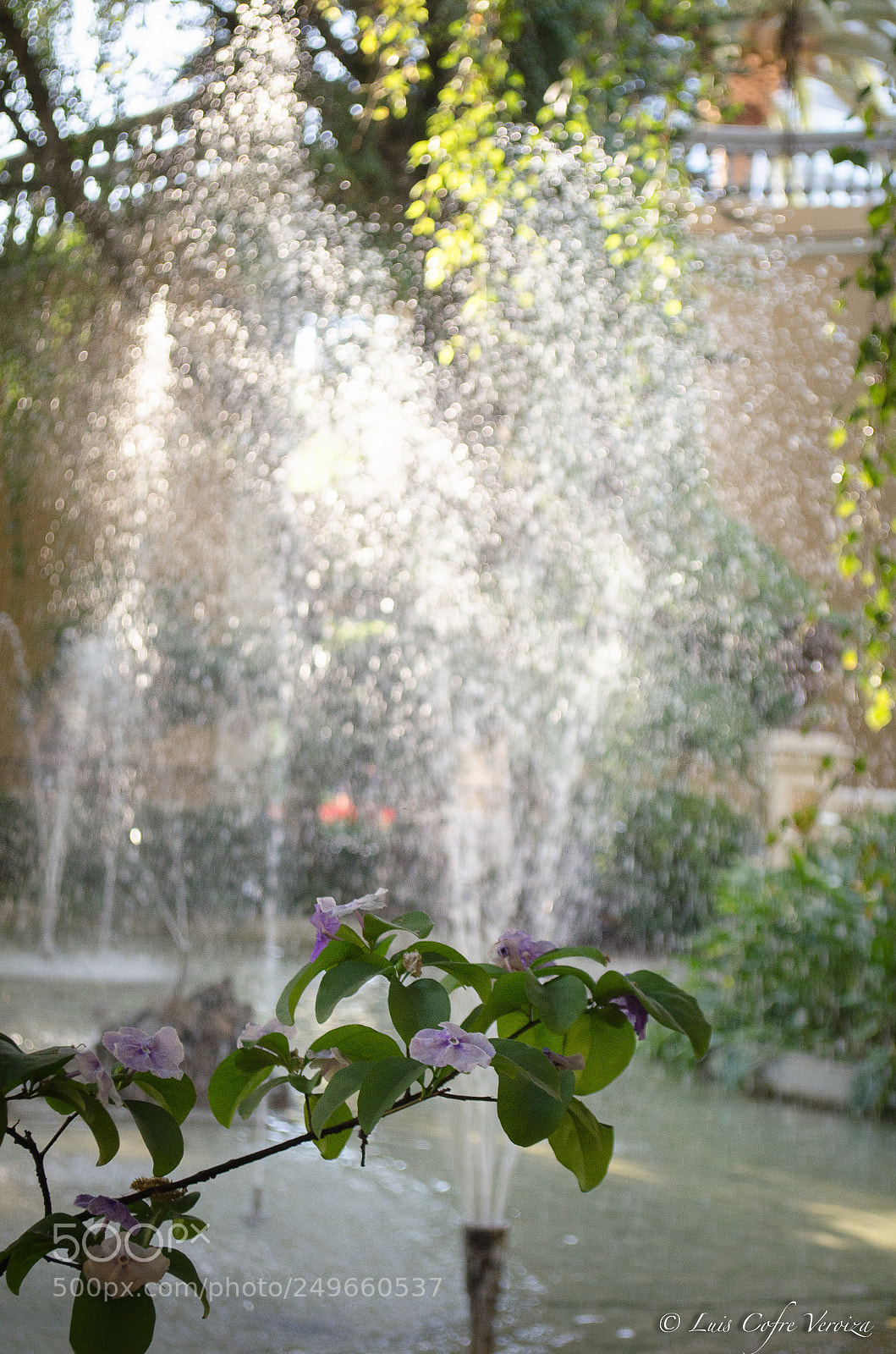 Nikon D5100 sample photo. Natural... photography
