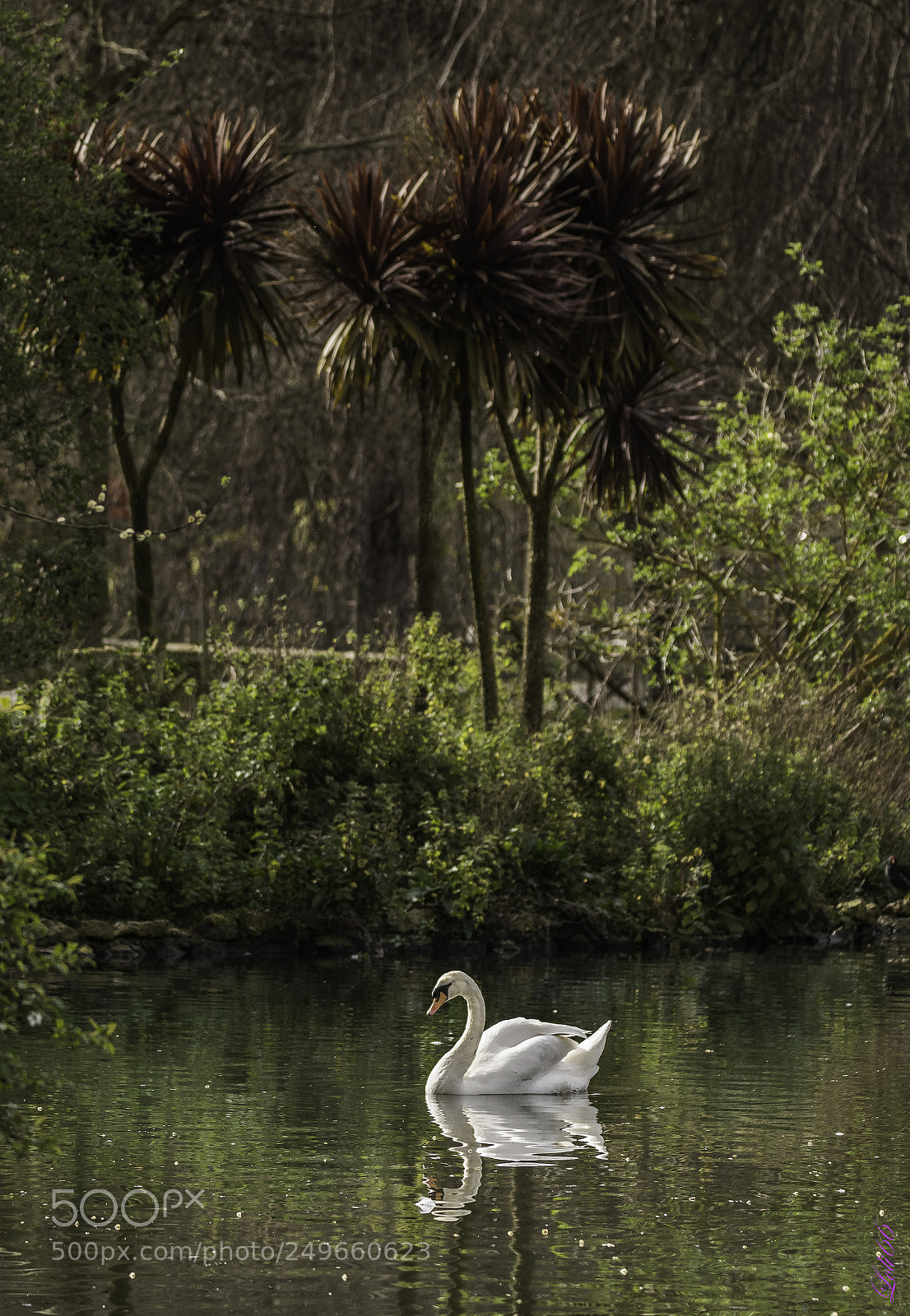 Nikon D7200 sample photo. En el parque photography