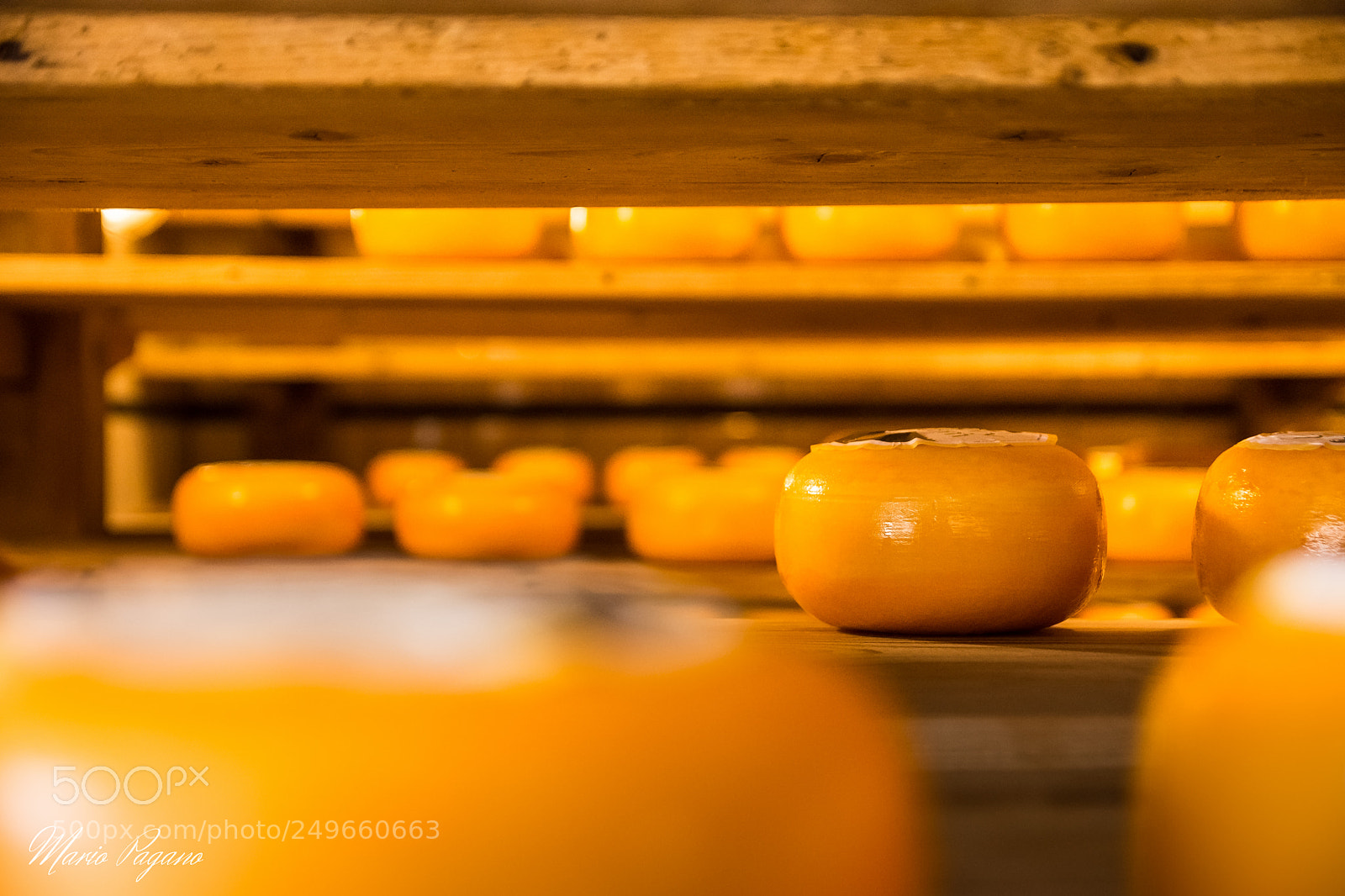 Nikon D7200 sample photo. Volendam's cheese photography