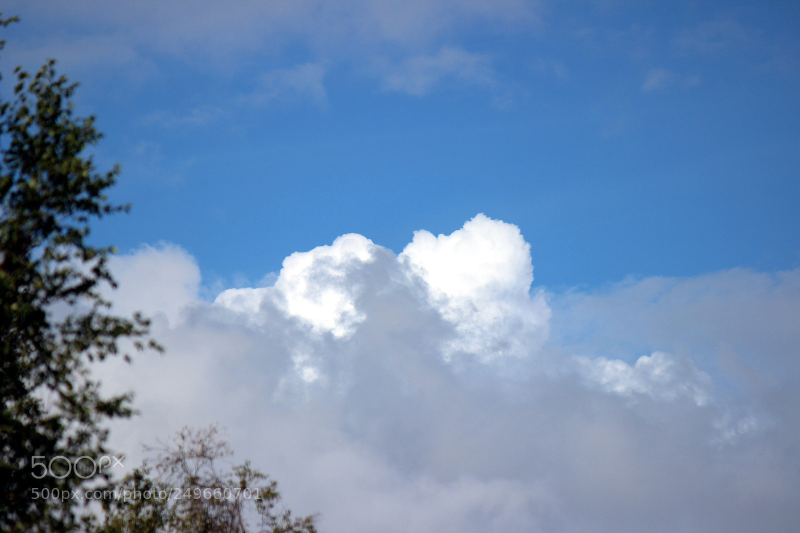 Canon EOS 600D (Rebel EOS T3i / EOS Kiss X5) sample photo. Img photography