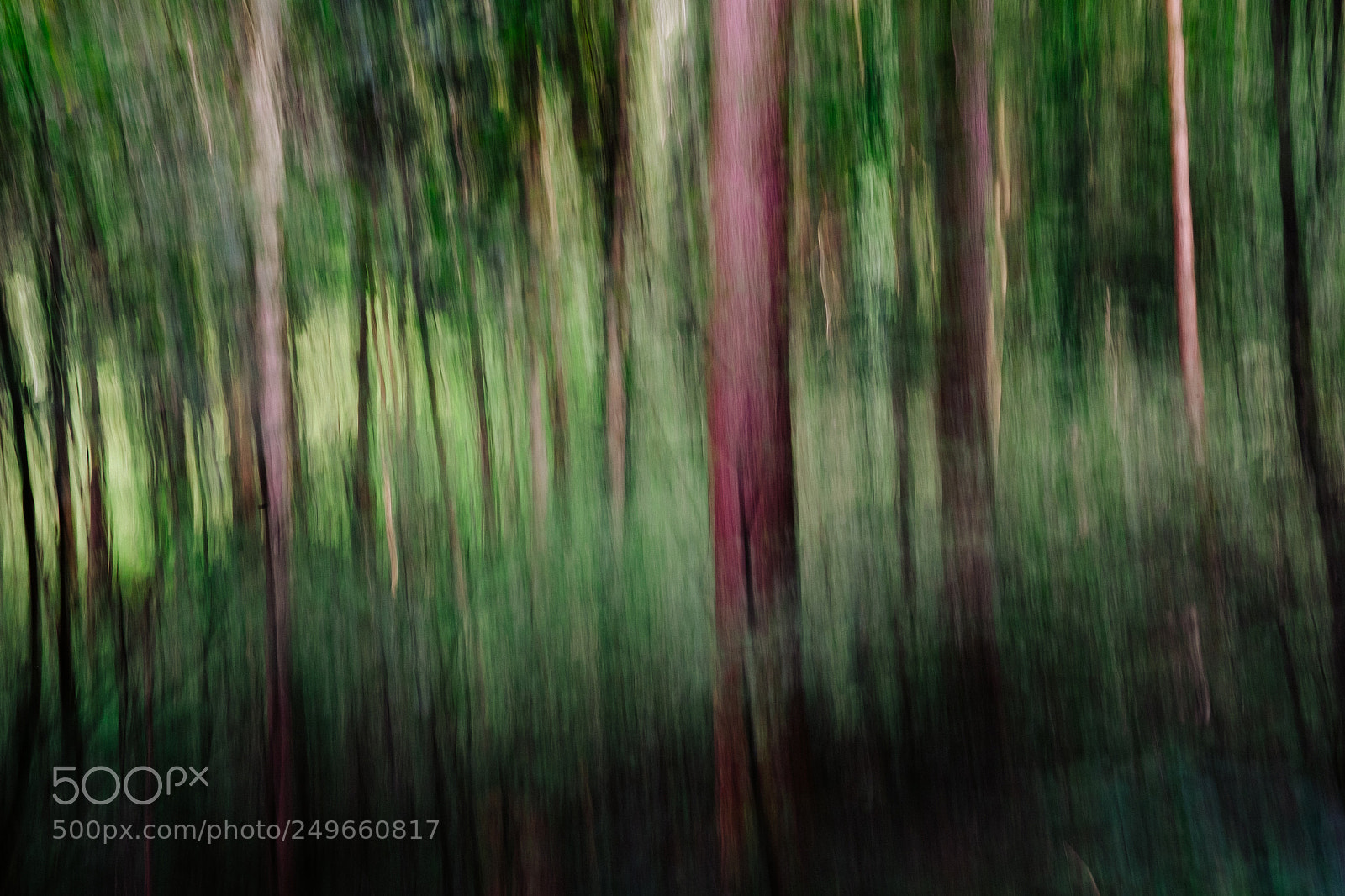 Fujifilm X-T1 sample photo. Wald i photography