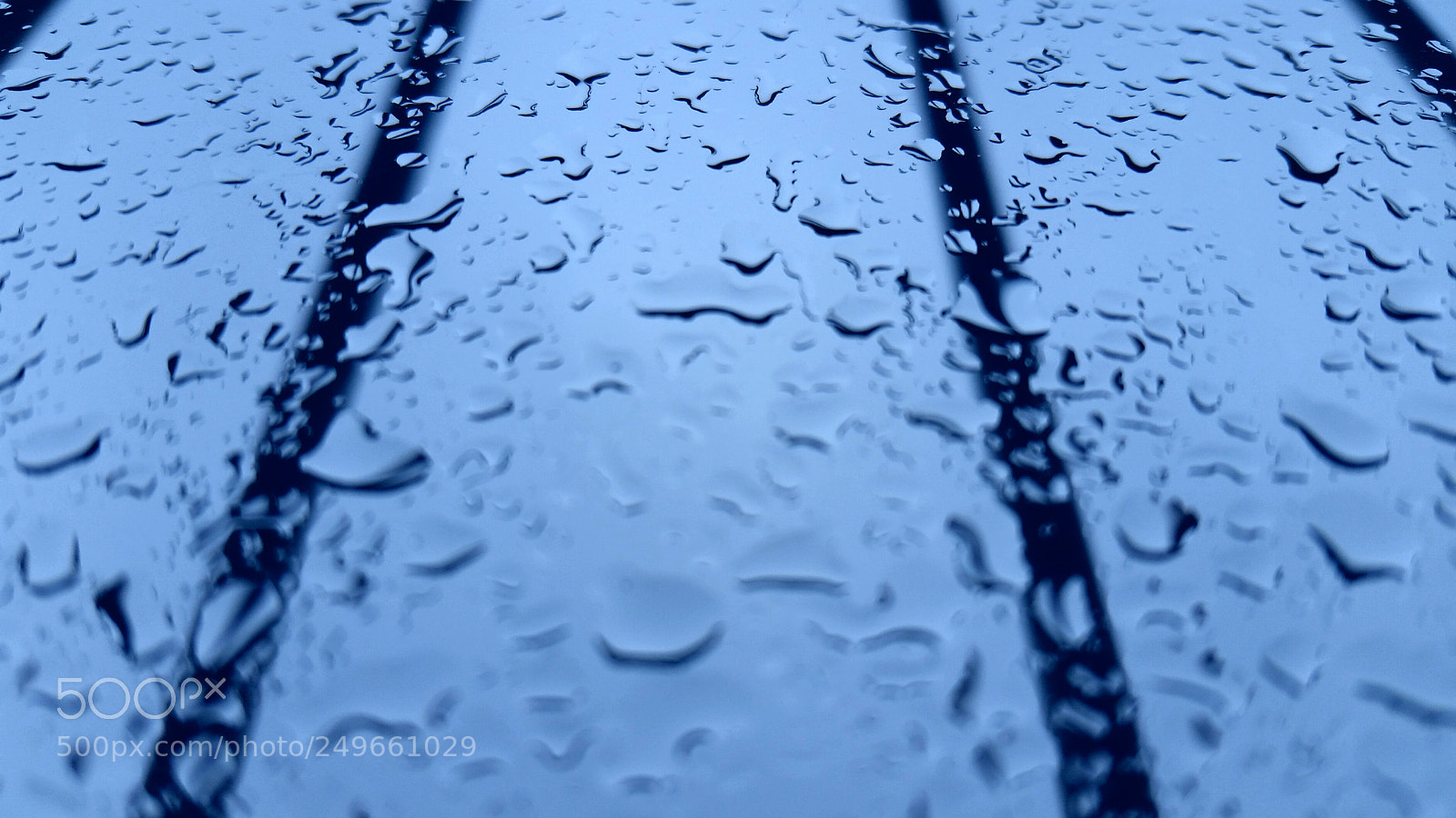 Samsung Galaxy S5 sample photo. Untitled photography