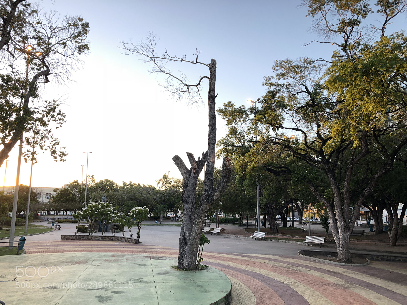 Apple iPhone 8 Plus sample photo. Untitled photography