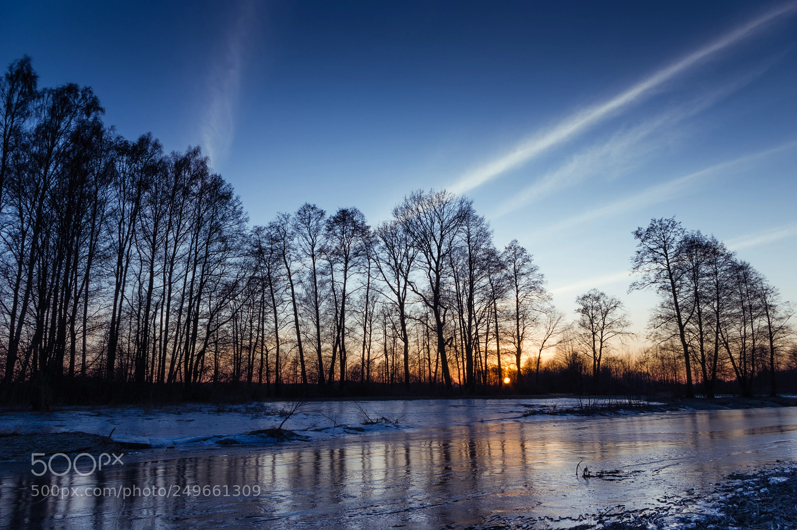 Pentax K-3 II sample photo. Behind the trees photography