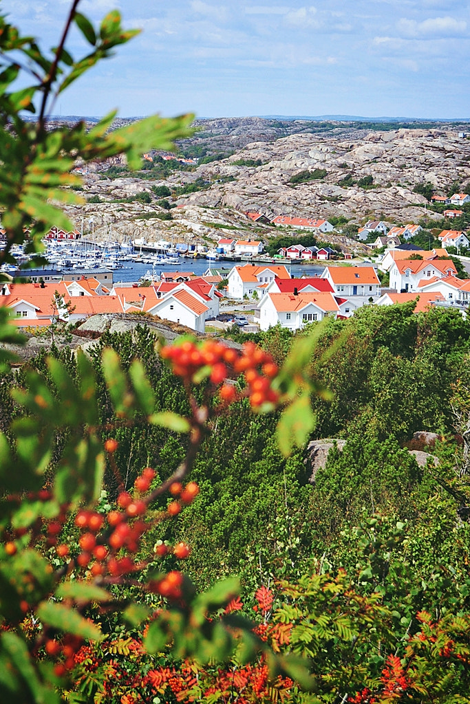 Nikon D5000 sample photo. Summer on tjörn photography