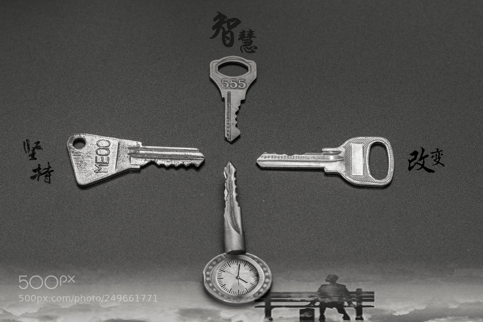 Nikon D7200 sample photo. Open the door of photography