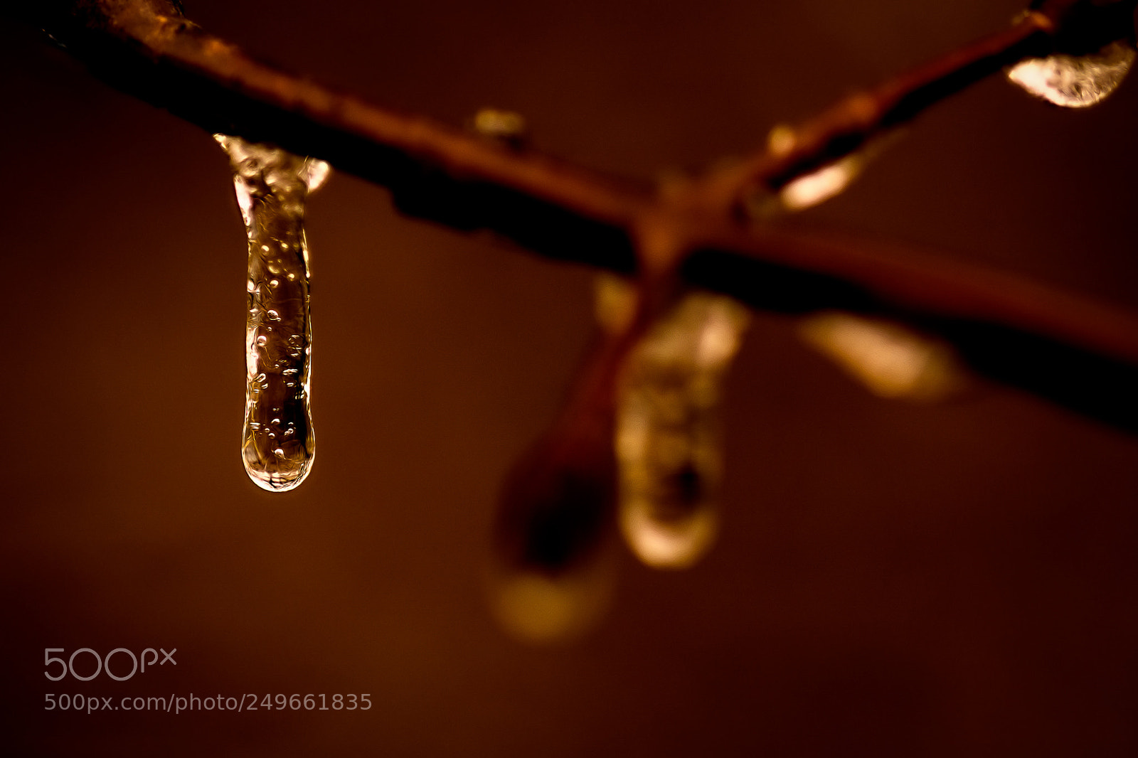 Nikon D7100 sample photo. Ice drop photography