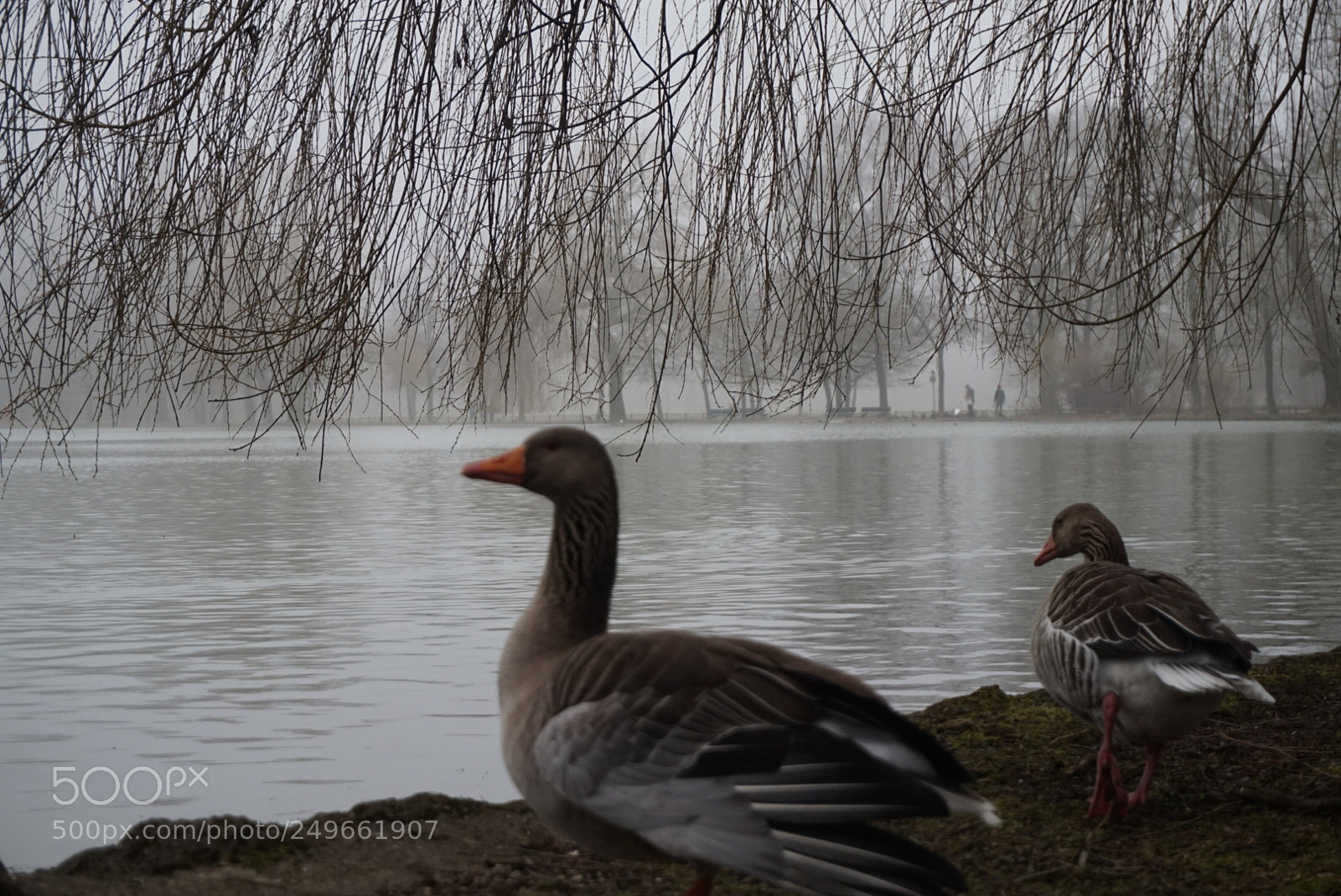 Sony Alpha a5000 (ILCE 5000) sample photo. En pareja photography