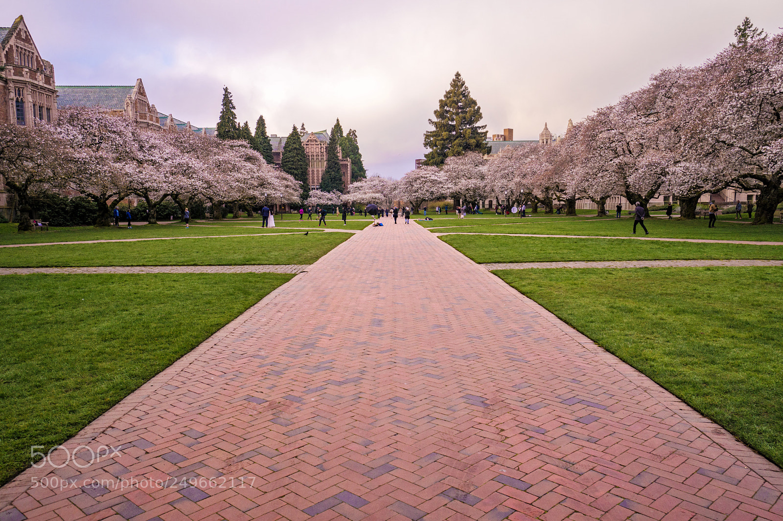 Sony a6500 sample photo. Spring morning at the photography