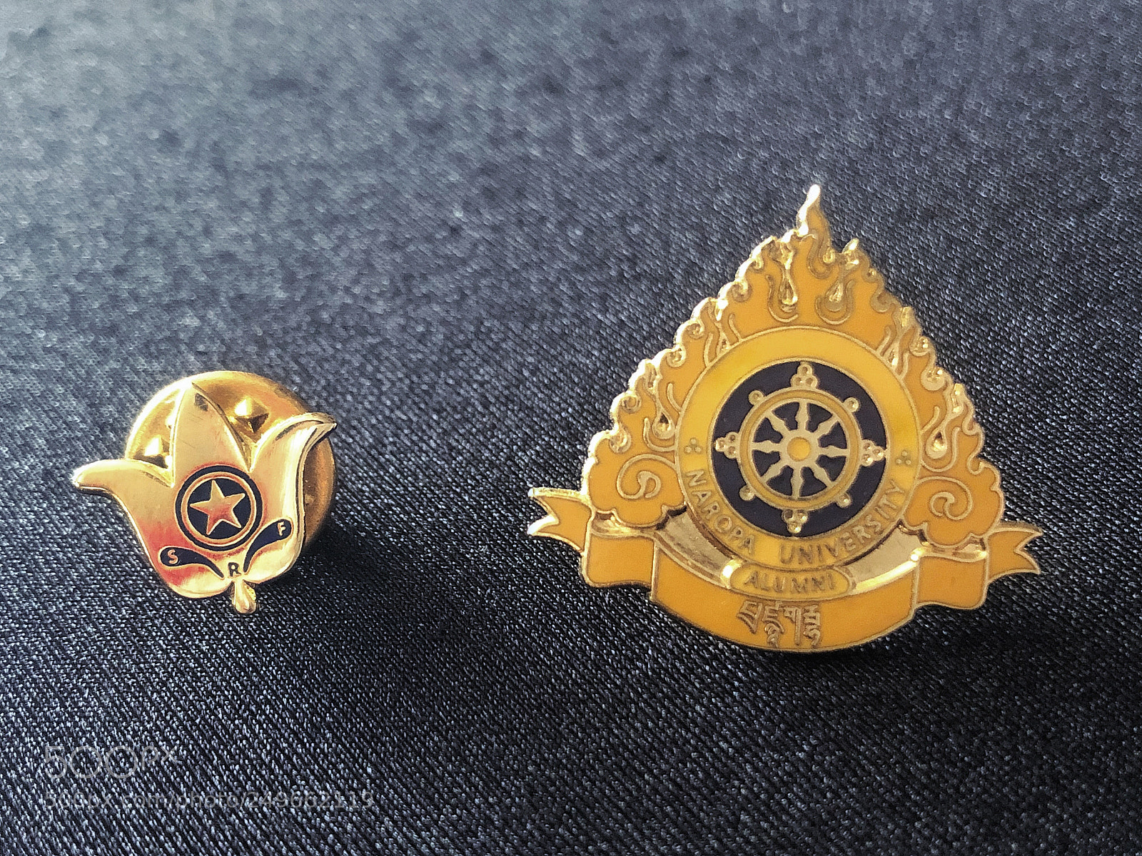 Apple iPhone 8 Plus sample photo. Pins photography
