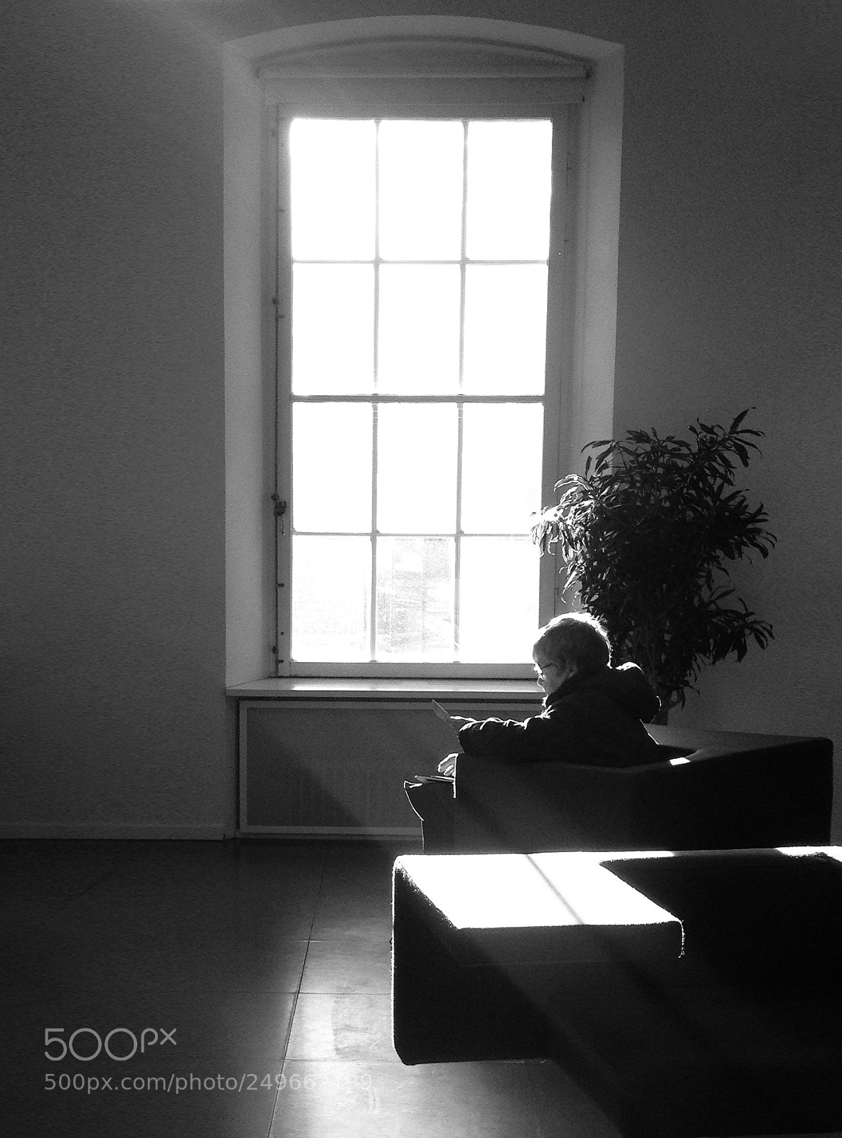 Apple iPhone 4S sample photo. Library photography