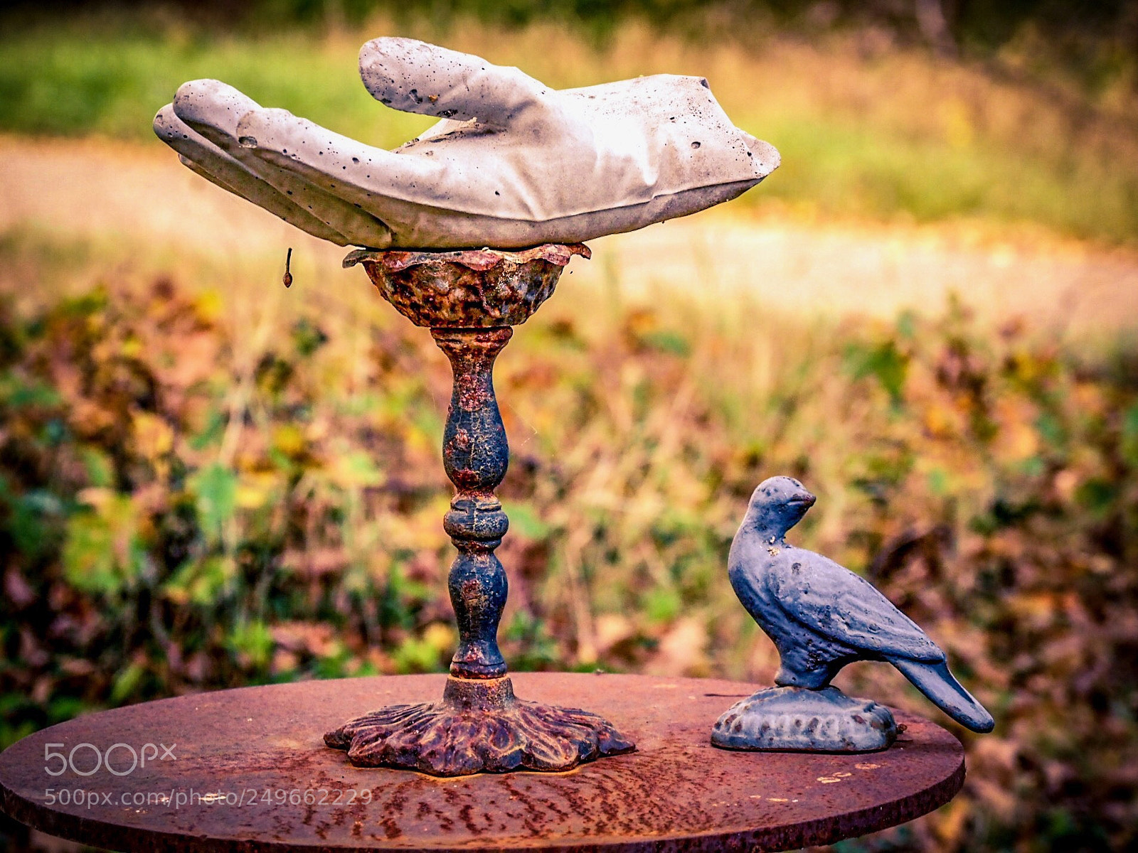 Olympus OM-D E-M1 Mark II sample photo. Stilleben  photography