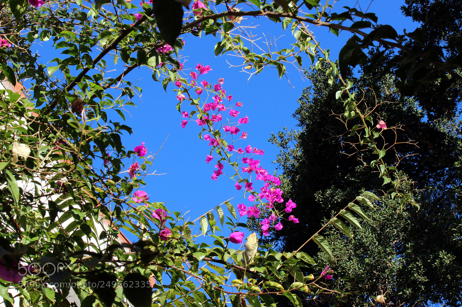 Canon EOS 600D (Rebel EOS T3i / EOS Kiss X5) sample photo. Img photography