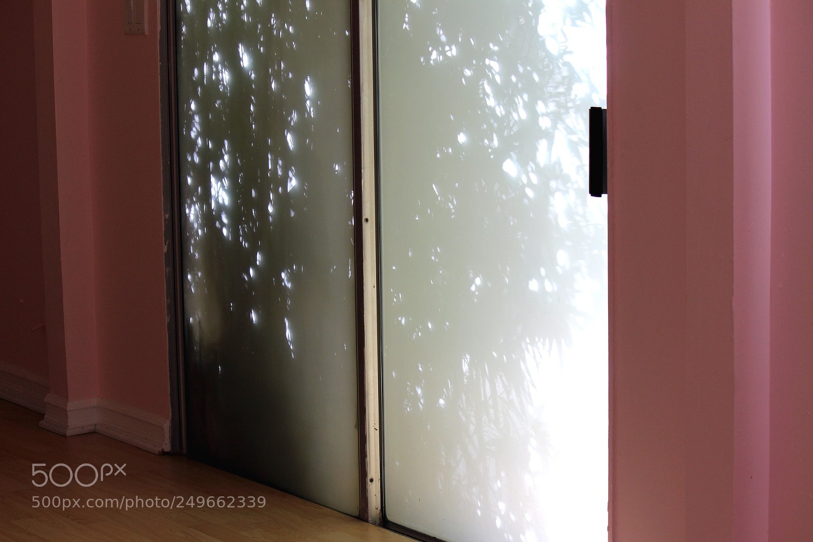 Canon EOS 600D (Rebel EOS T3i / EOS Kiss X5) sample photo. Img photography