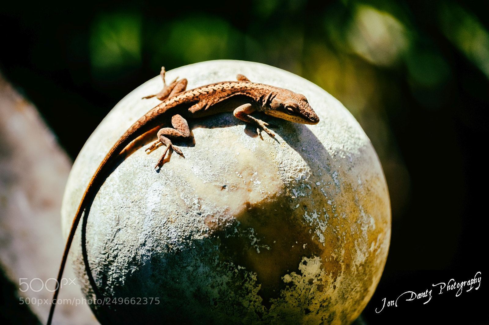 Nikon D5300 sample photo. Lizzy's small planet photography