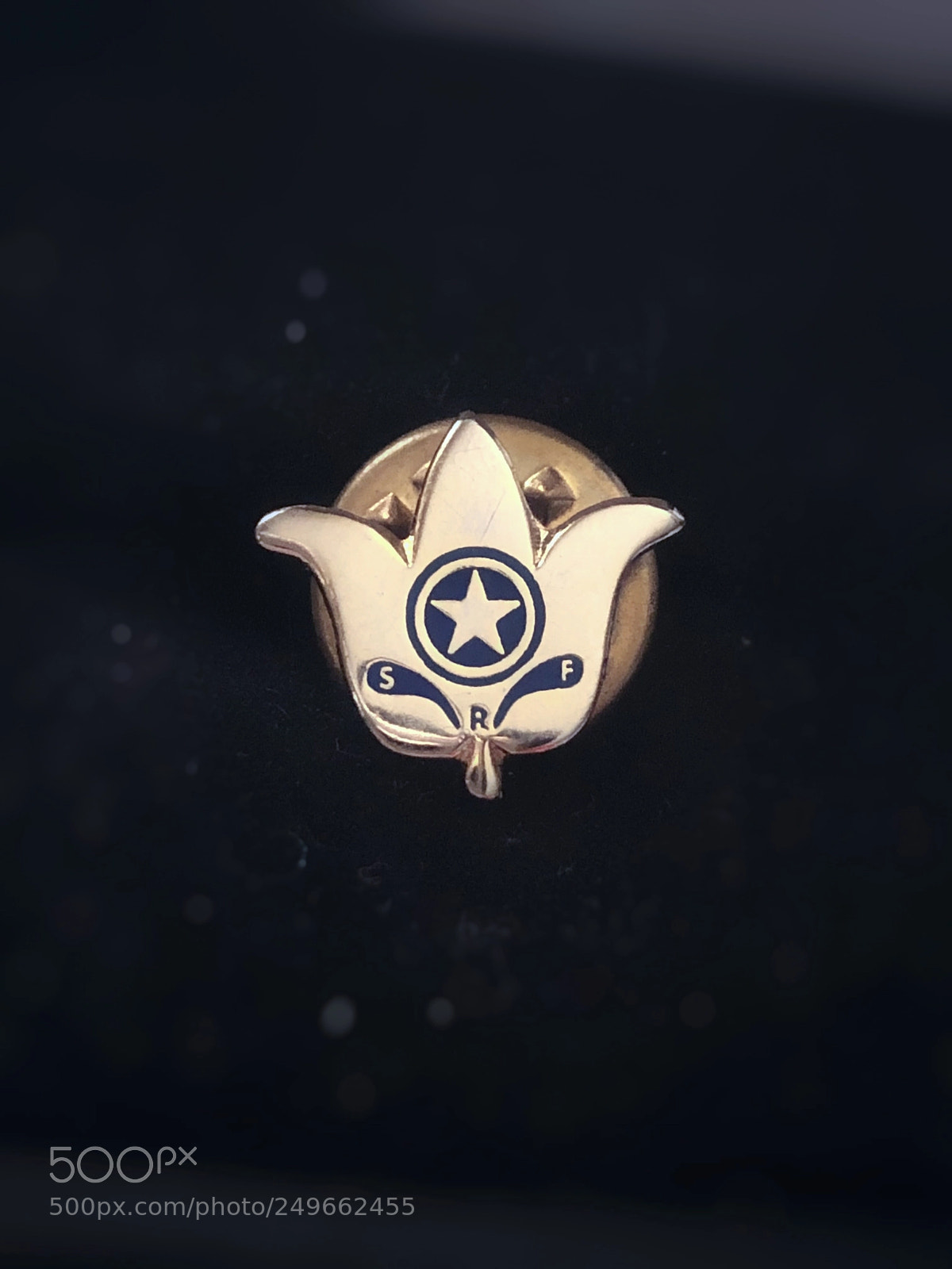 Apple iPhone 8 Plus sample photo. Srf lapel pin photography