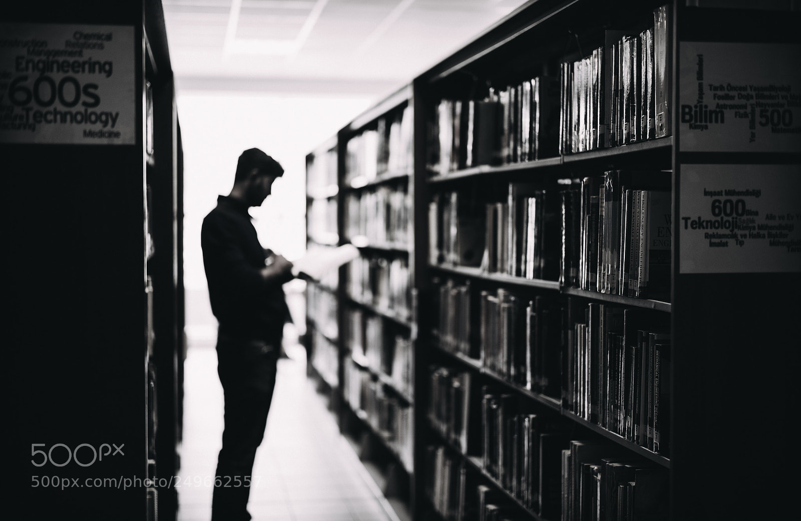 Leica M (Typ 240) sample photo. World of books photography