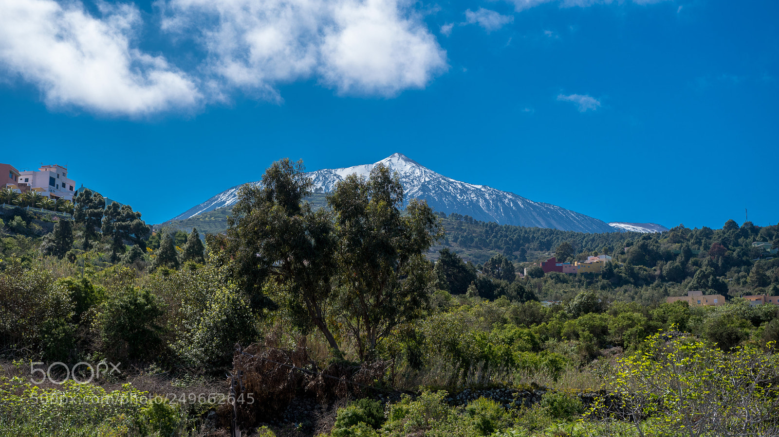 Nikon D500 sample photo. Vista de nuestro teide photography